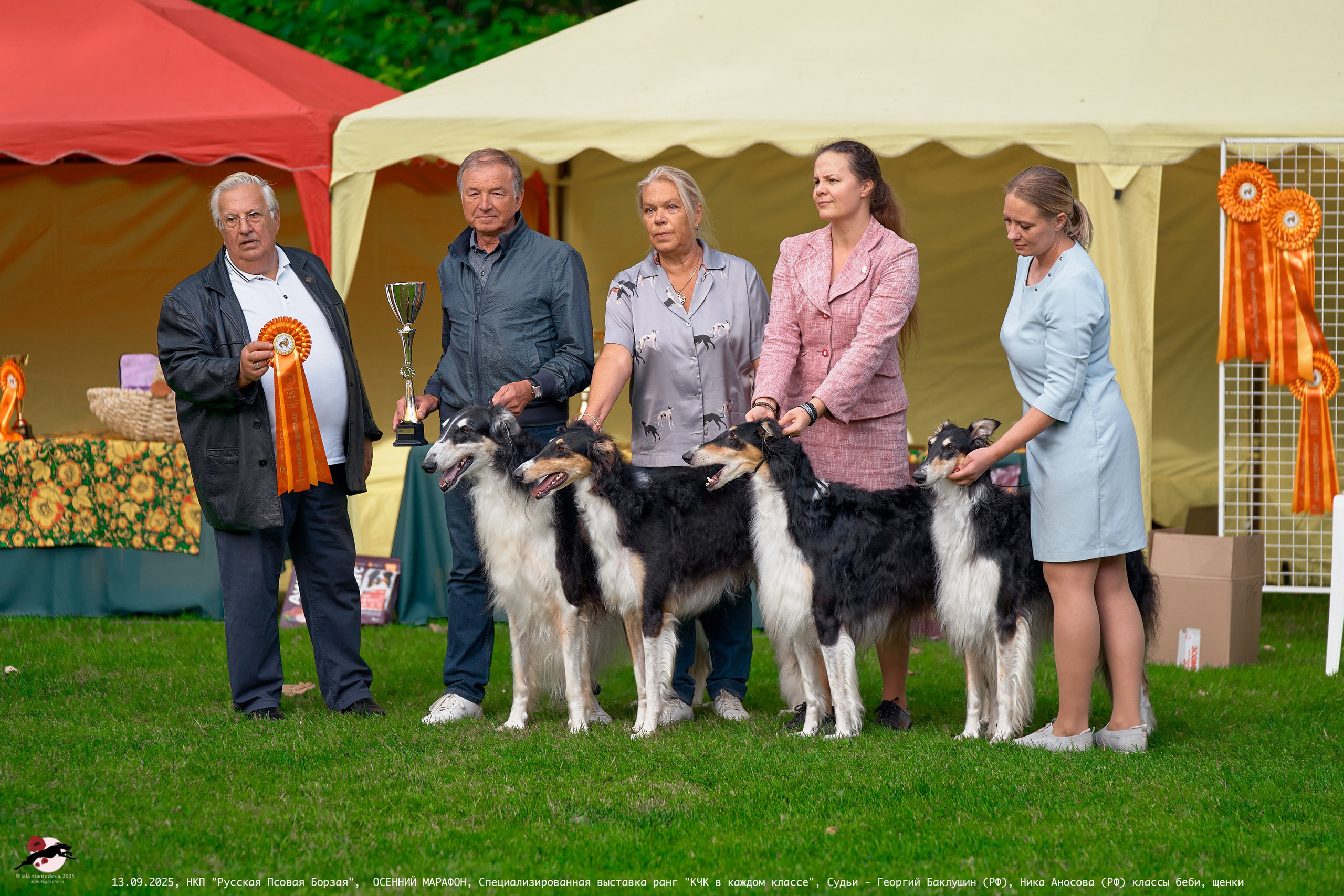 ОСЕННИЙ МАРАФОН | Специализированная выставка породы Русская Псовая Борзая ранг "КЧК в каждом классе"