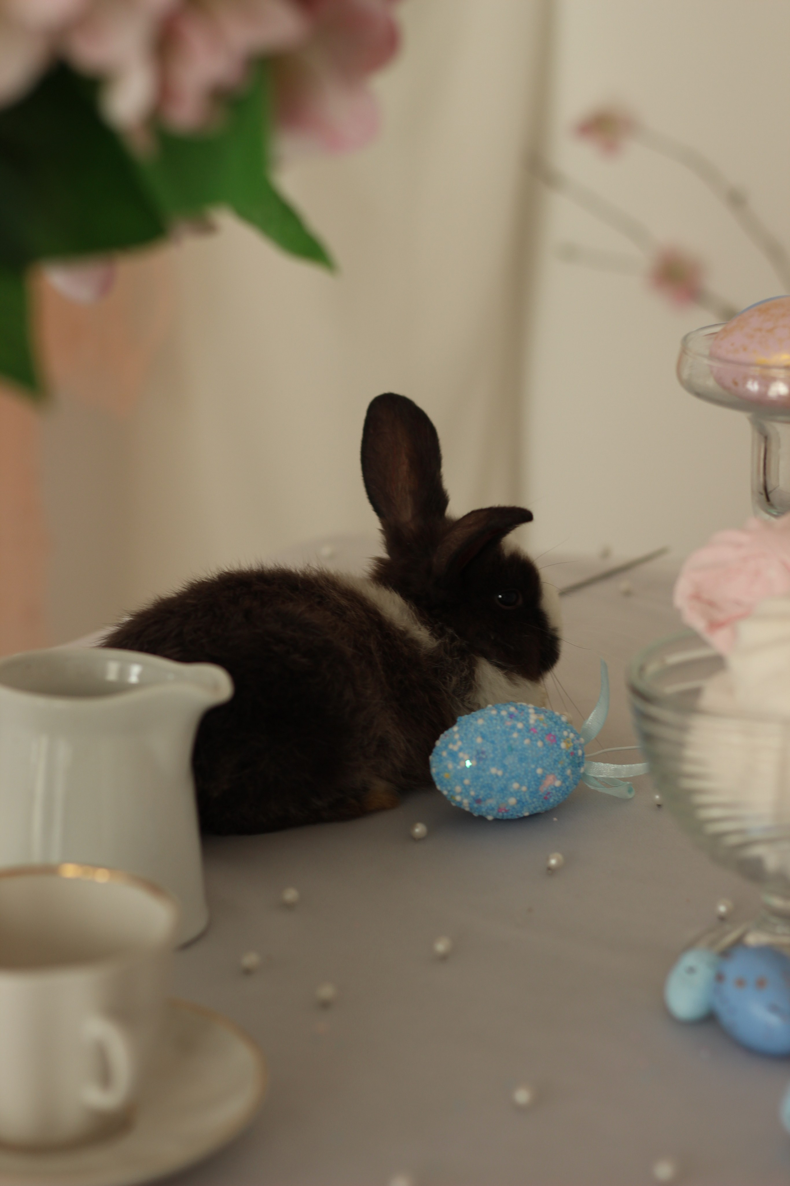 Фотосессия в фотостудии Grace Place. Фотограф Красноярск