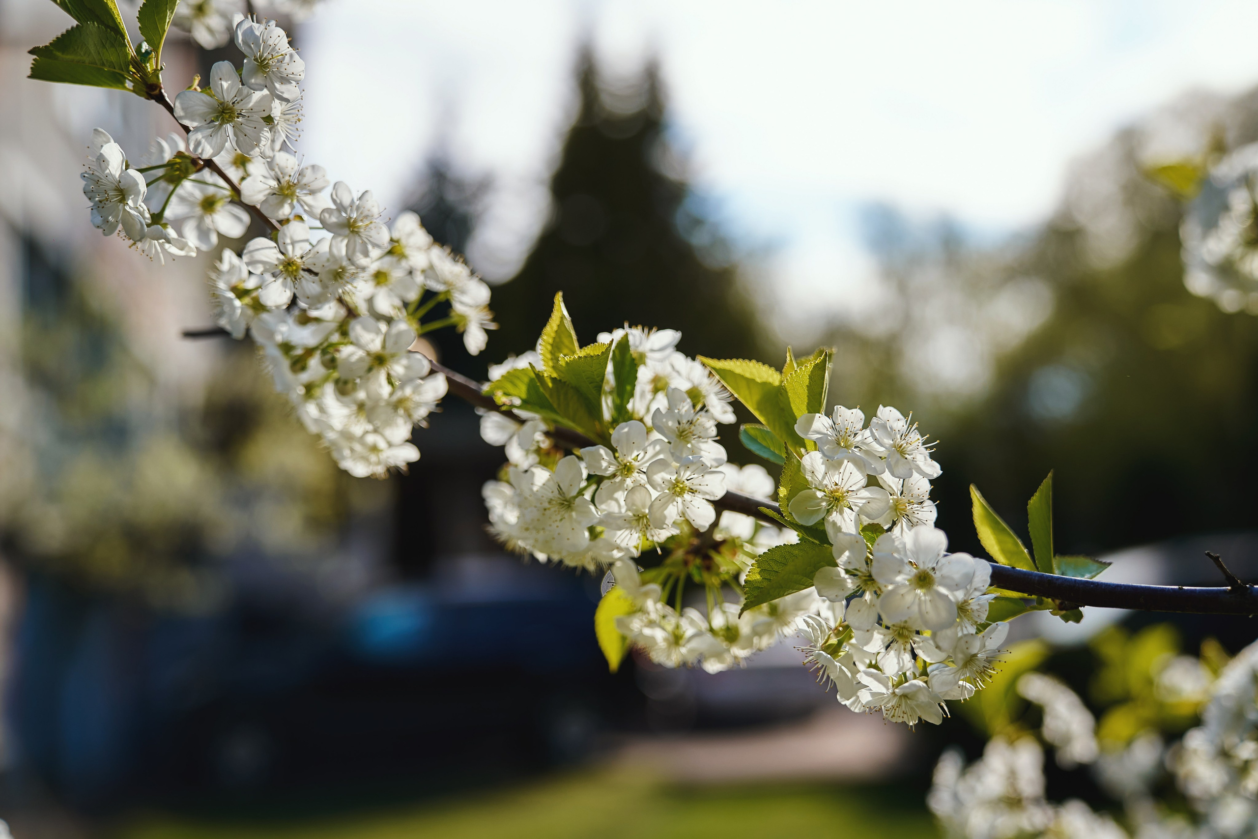 Фотограф на день рождения. Репортажный фотограф Евгений Опарин