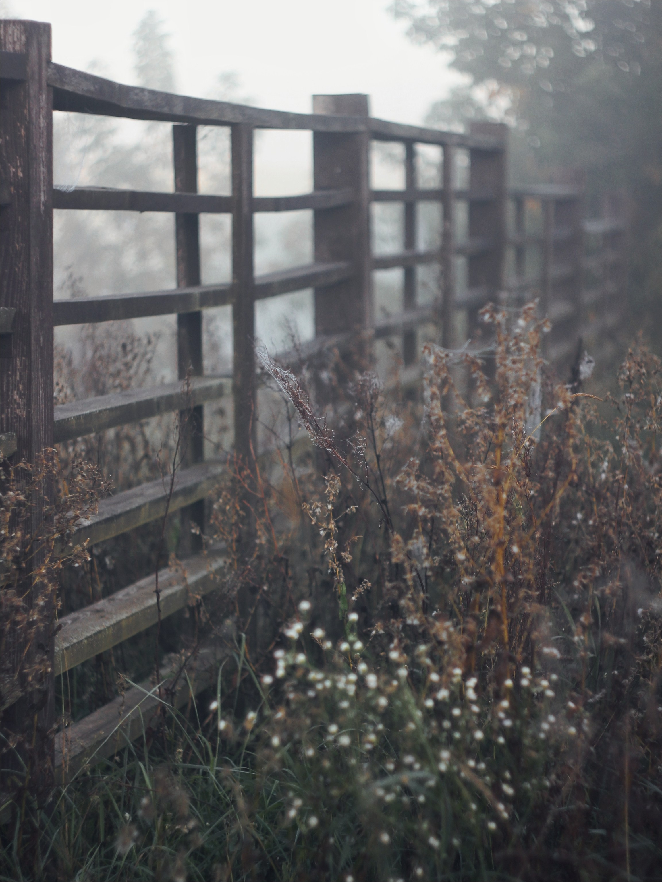Опустошенность. С любовью, фотохудожник