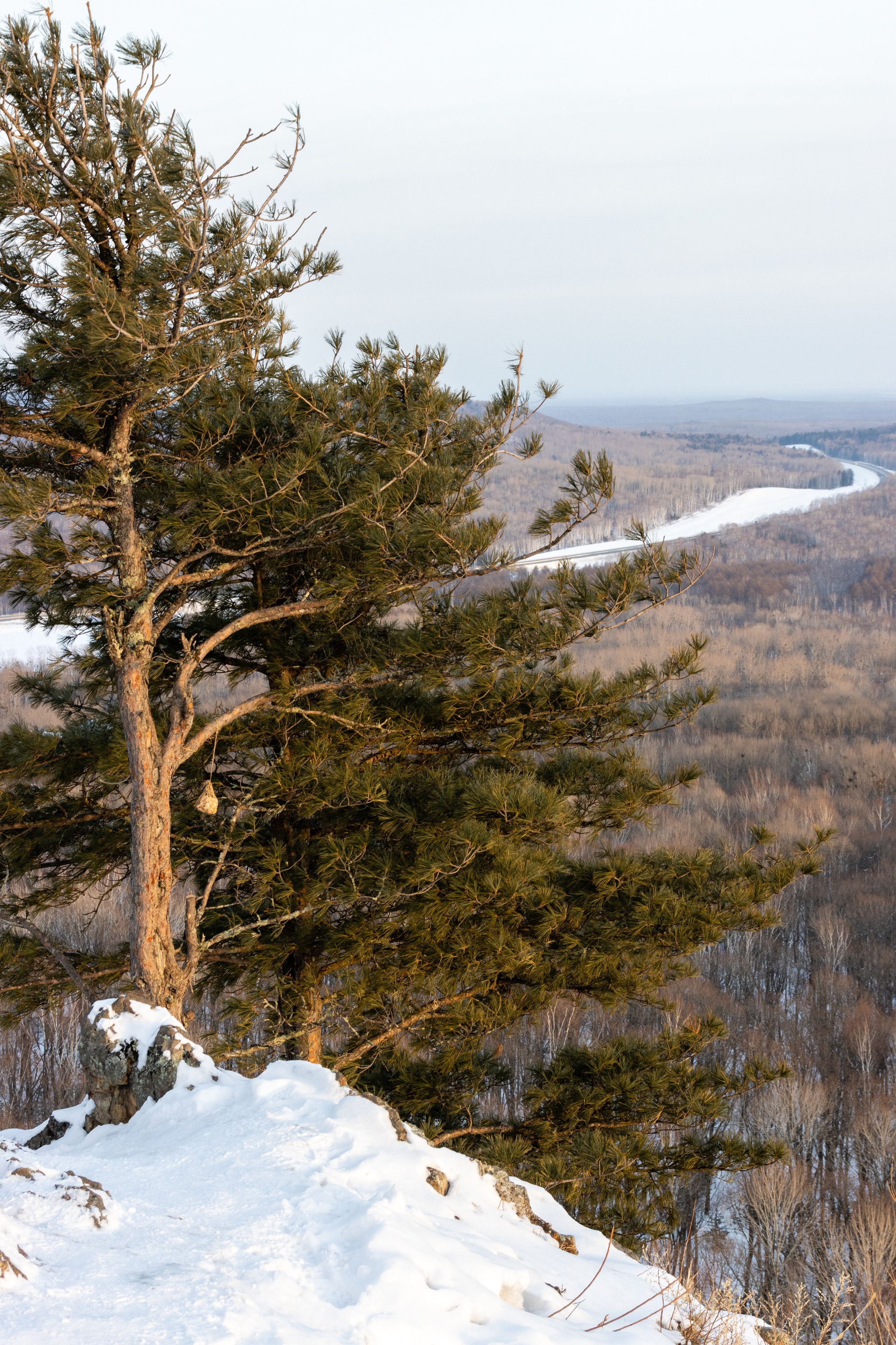 Сопка Змеинка на Хехцире. Дальний Восток — природа и достопримечательности