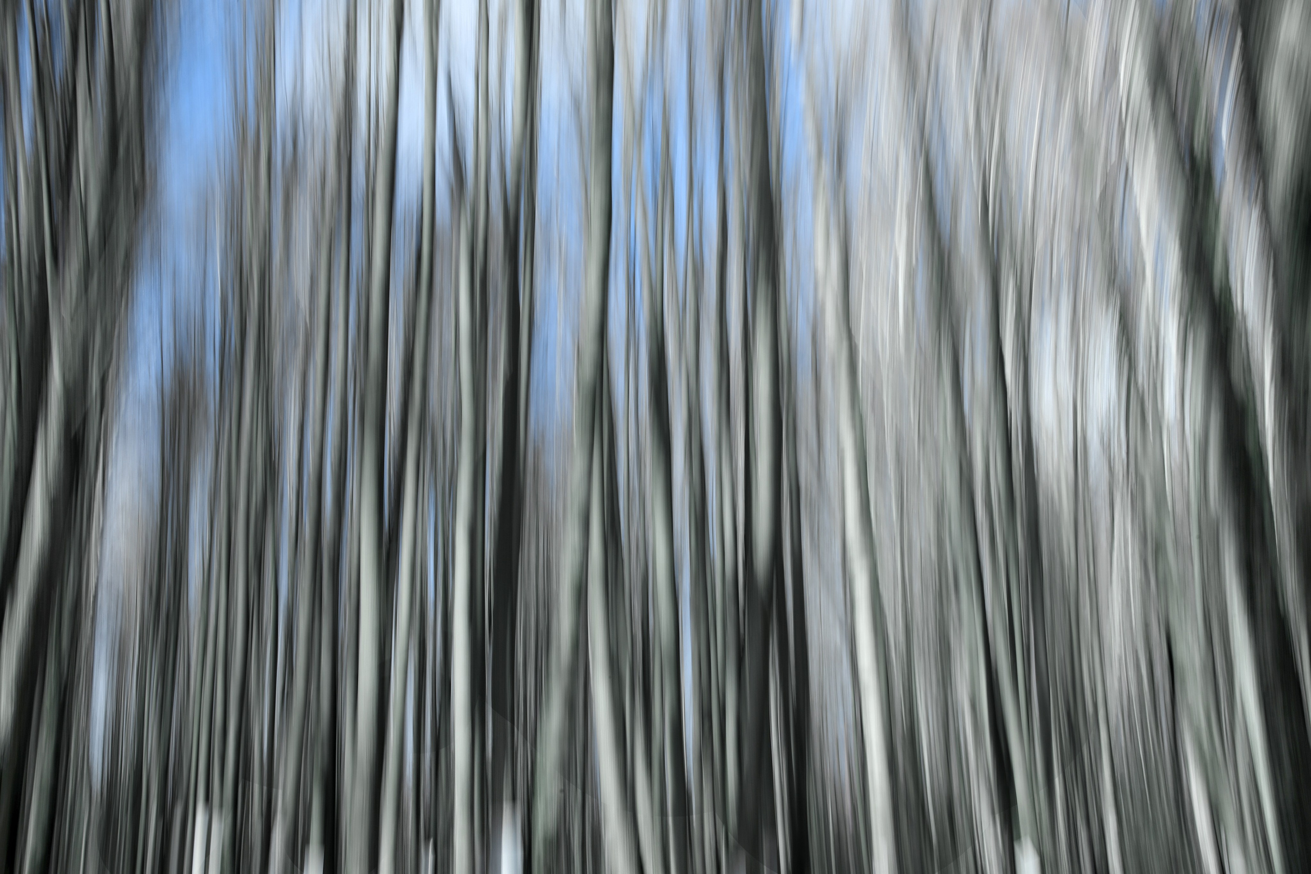 Проект «Здесь и сейчас». Фотограф Наталья Туева FineArt съёмка