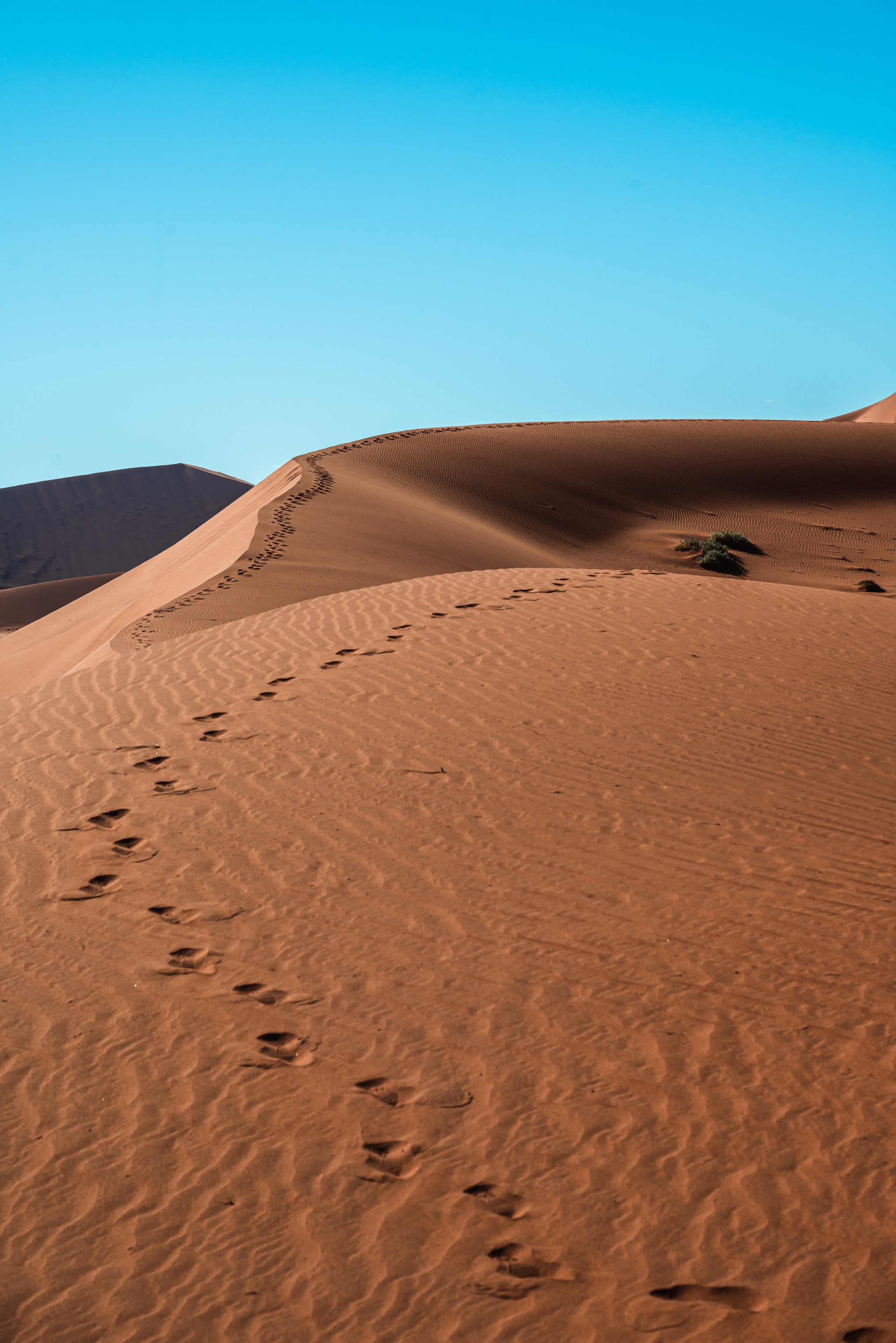 Выставки. Фотограф Дарья Сафонова Dashulkacss