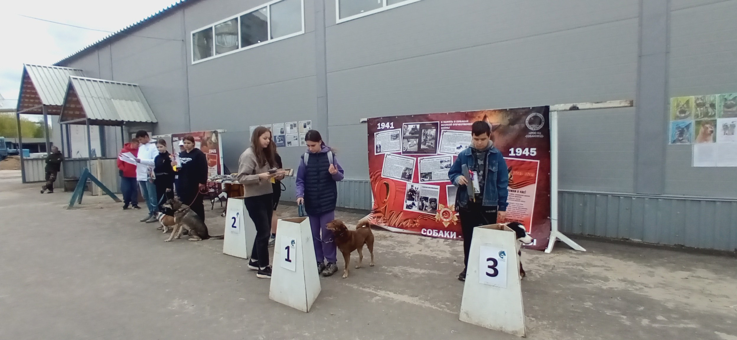 Кинологические старты. НРОО КЦ "Собаковод"