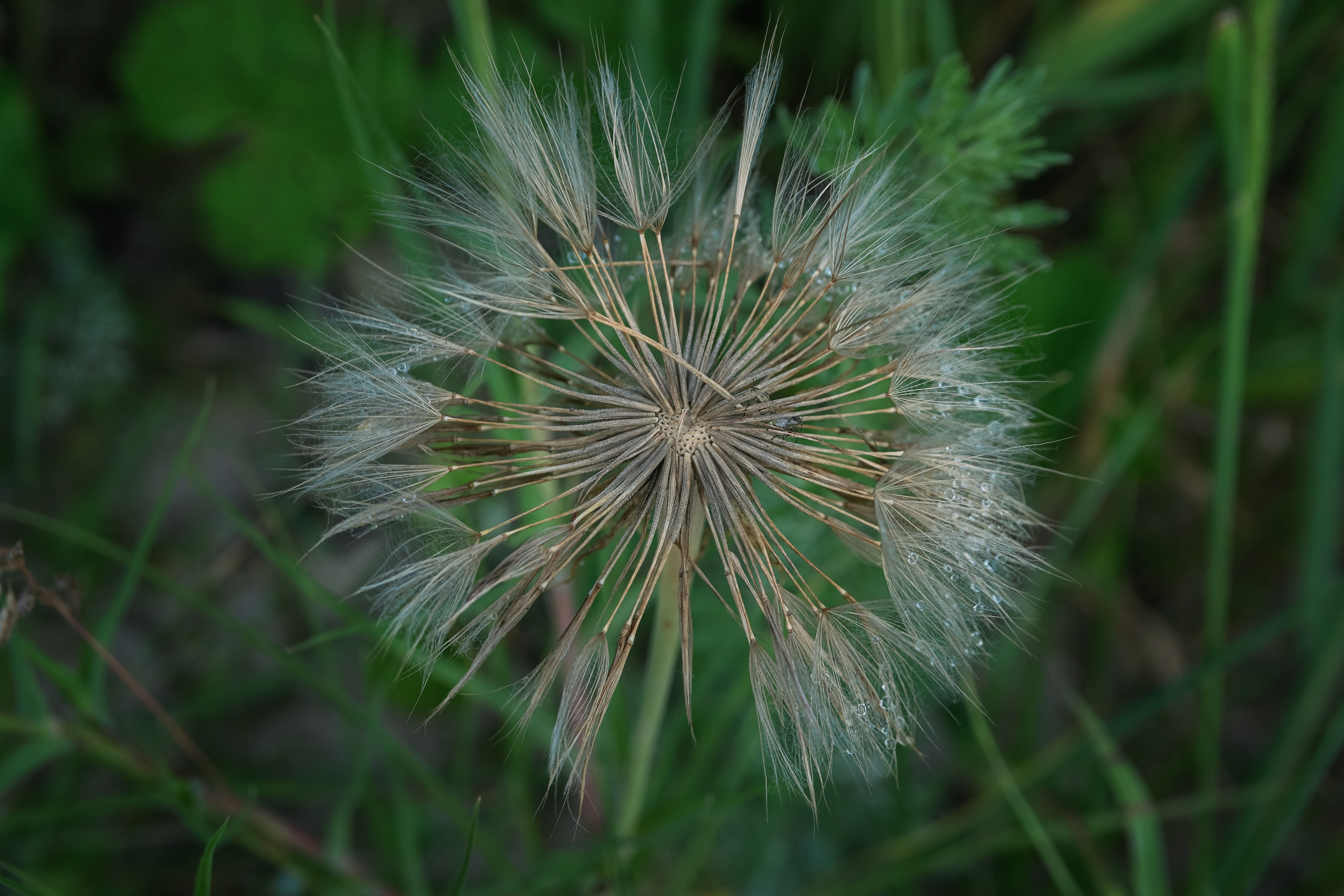 Нужно знать. Детский и семейный фотограф Шклов, Могилев и вся Беларусь