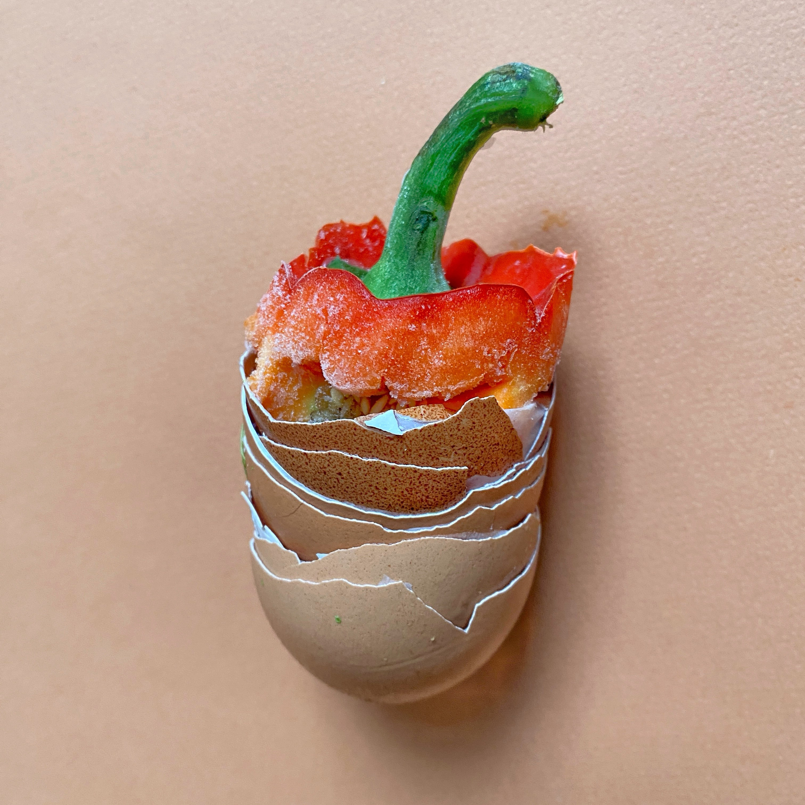 Эль Компостэ'24. Khorevali Лиза Хорева