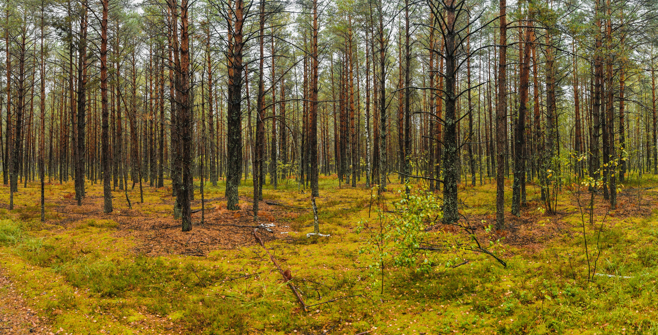 Репортажный фотограф Владимир Беляй