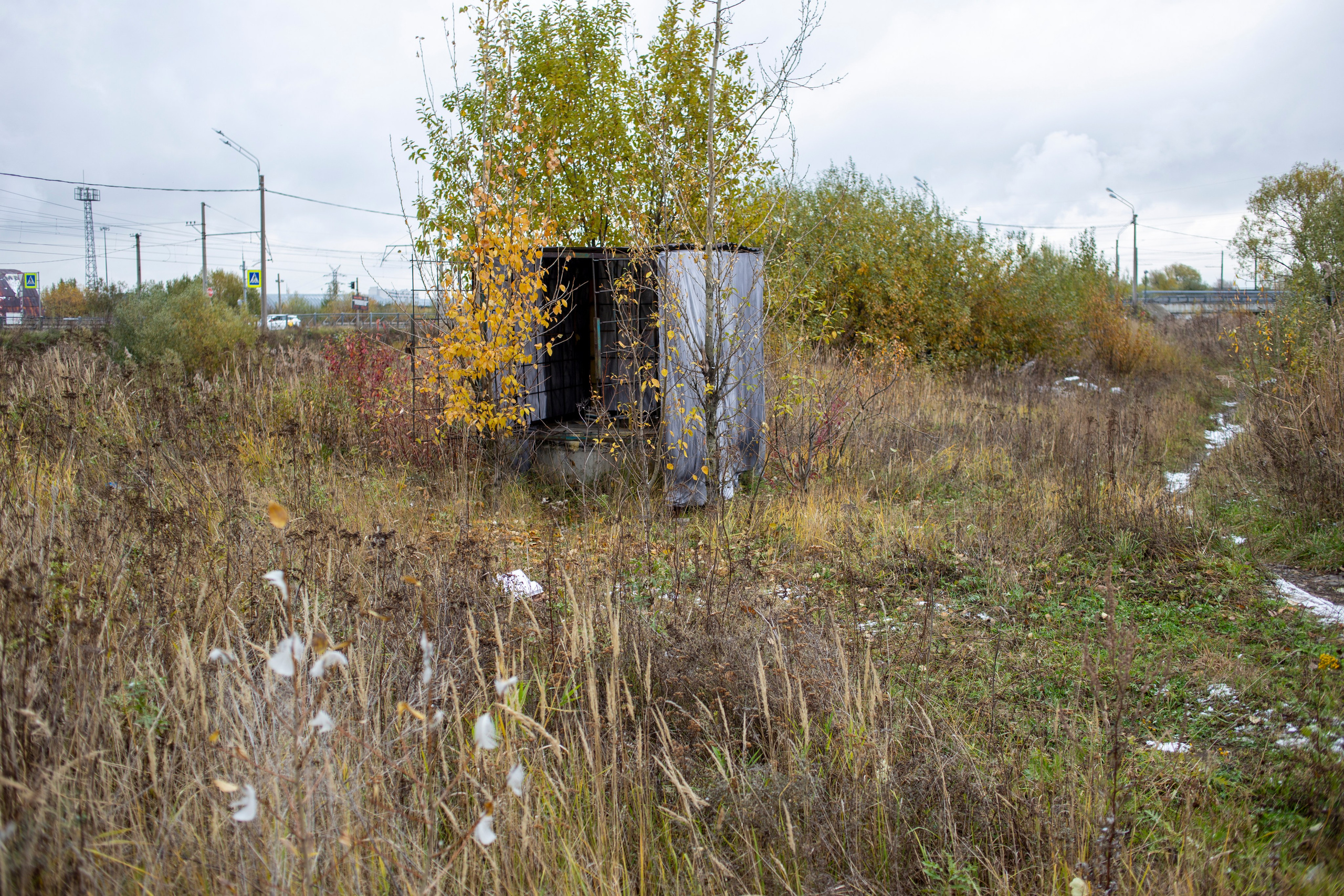 Сумерки речи. Михаил Курганов