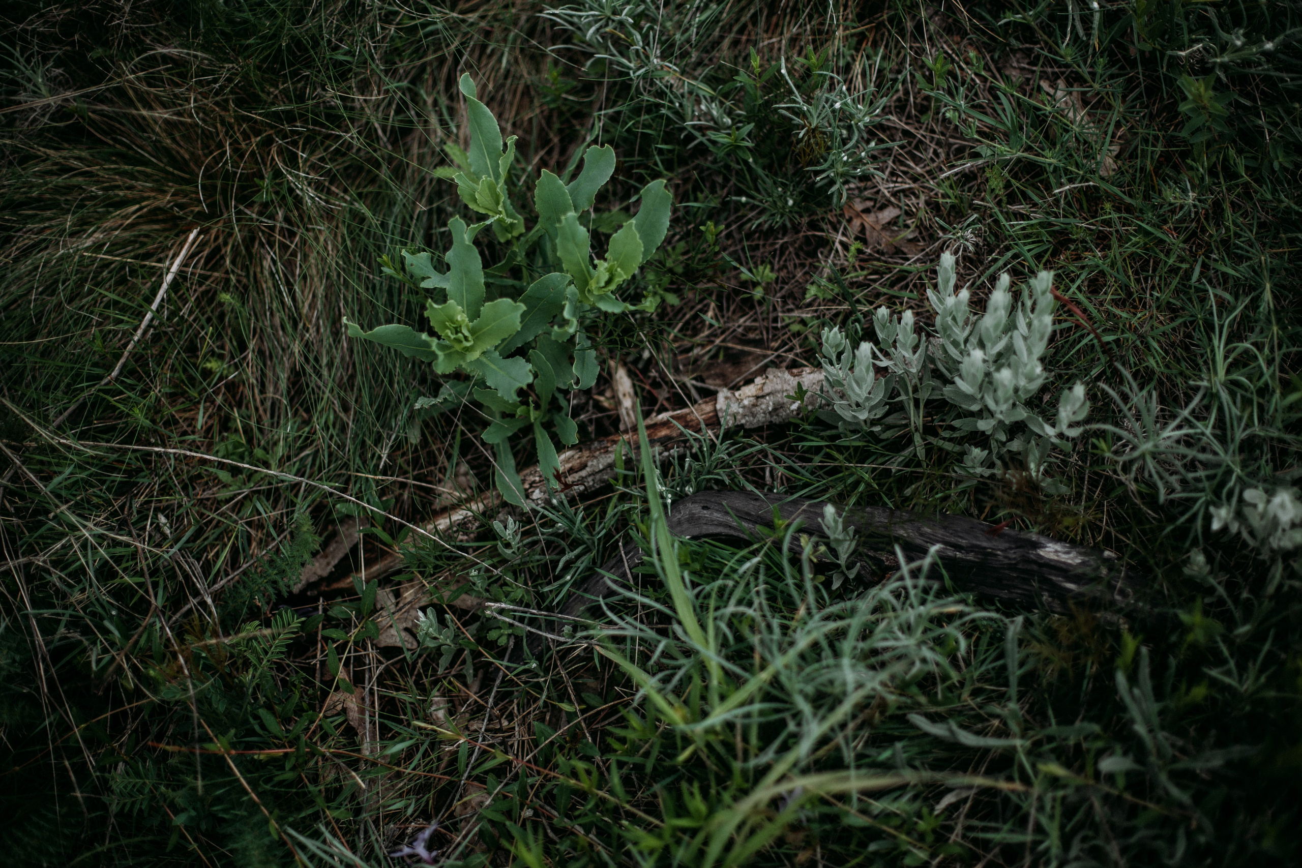 Дороги земли ветров. Портретный фотограф в Москве и Геленджике Кирилл Вахитов