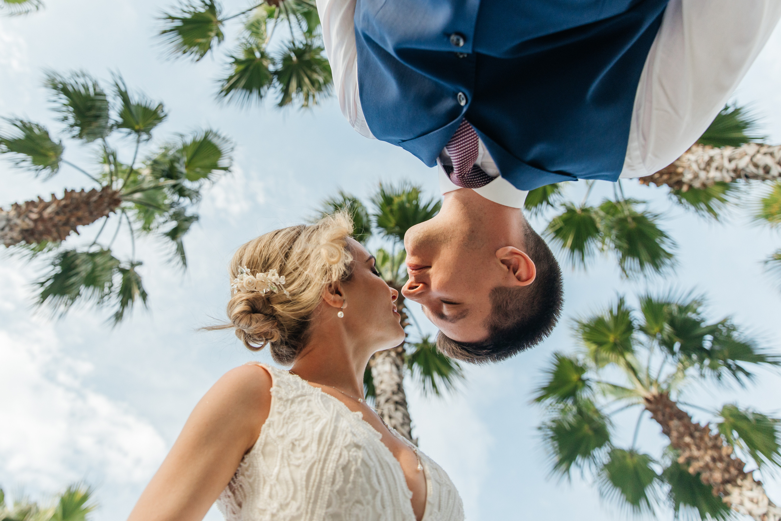 Нижний ракурс фотографии с пальмами