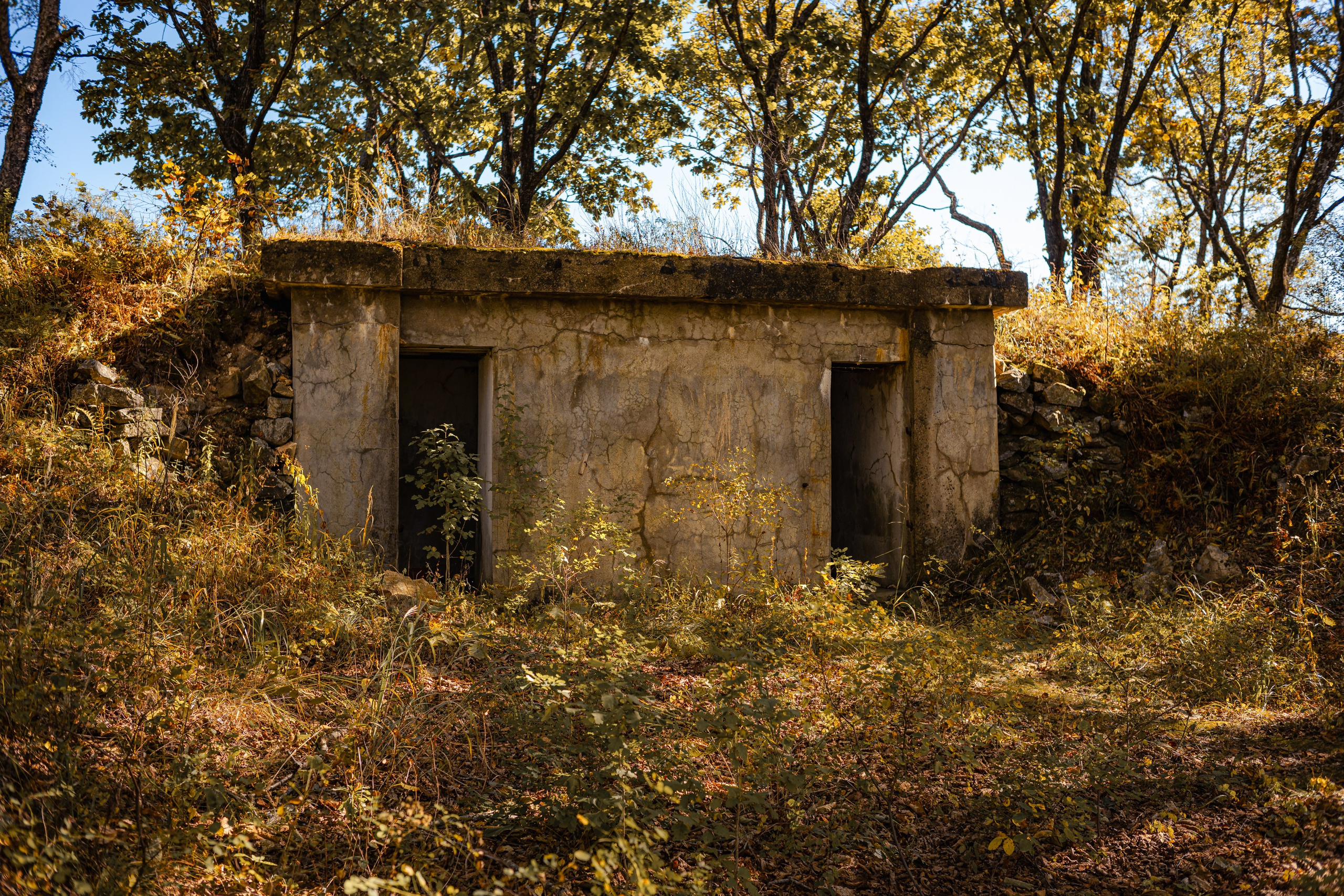 Бухта Льва | Мыс Сосновый. Иван Зайцев (IZIART) — создание культурного кода через фото и видео