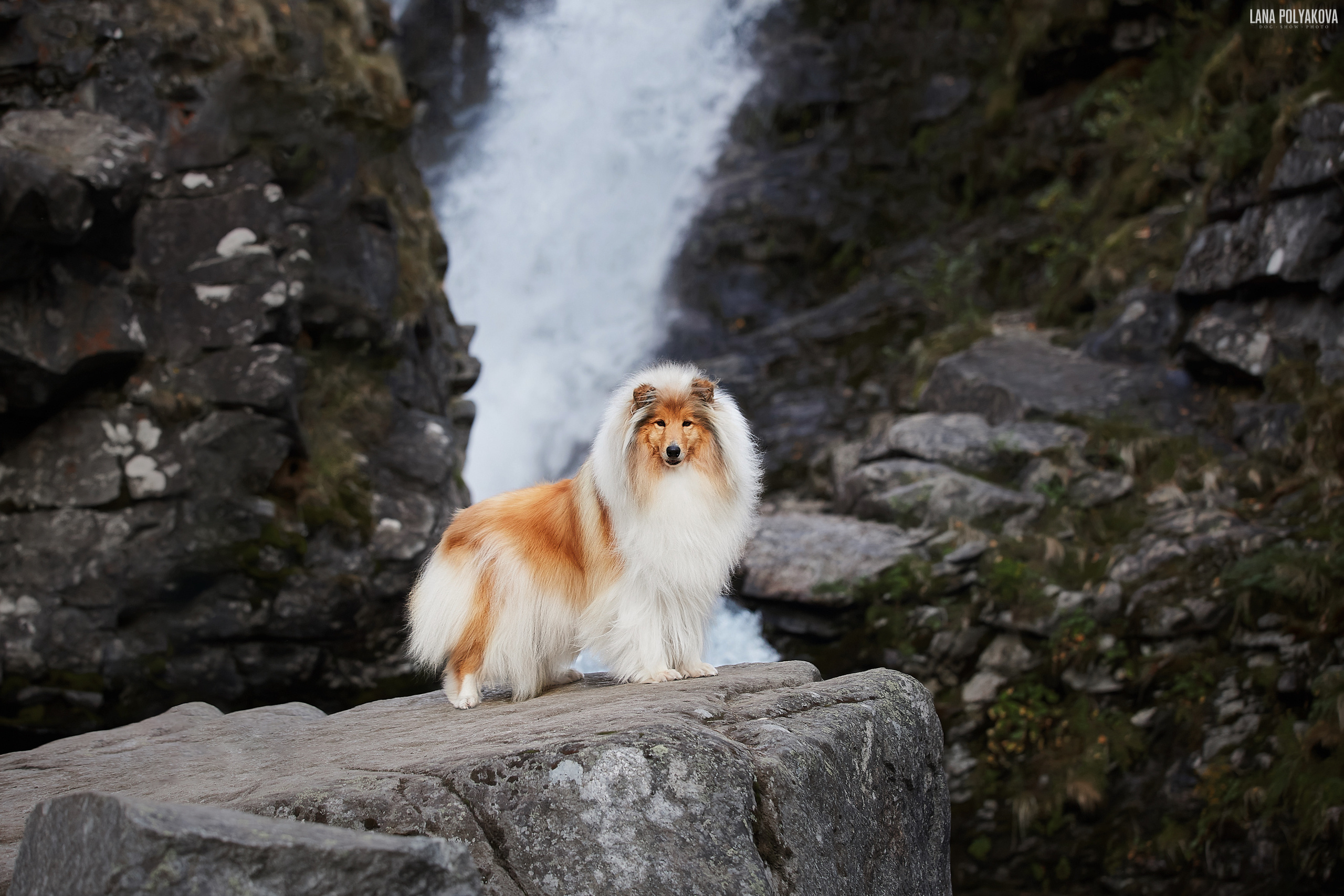 Куэльпорр, водопад "Красивый", 2019