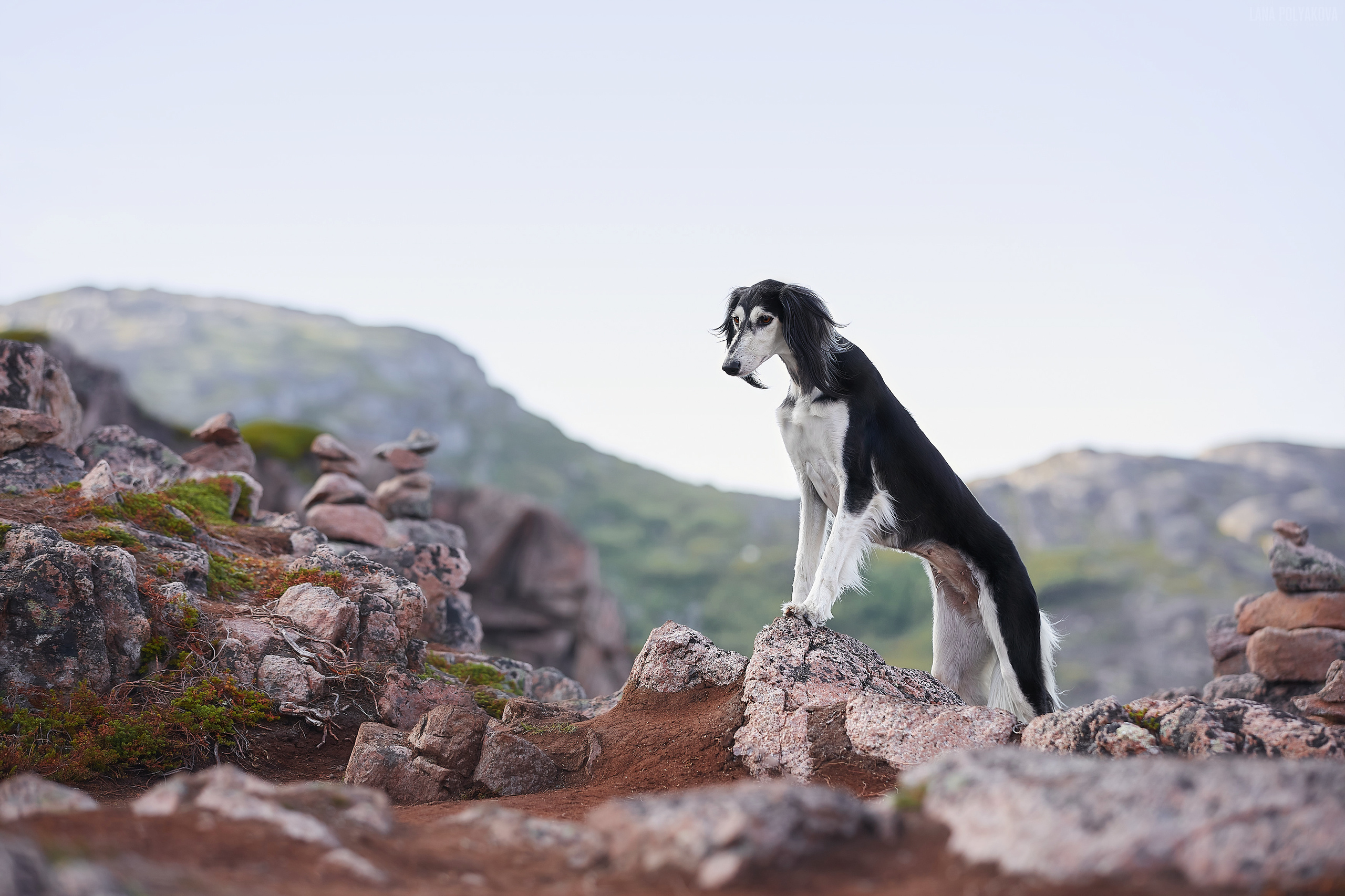 Териберка, 2019