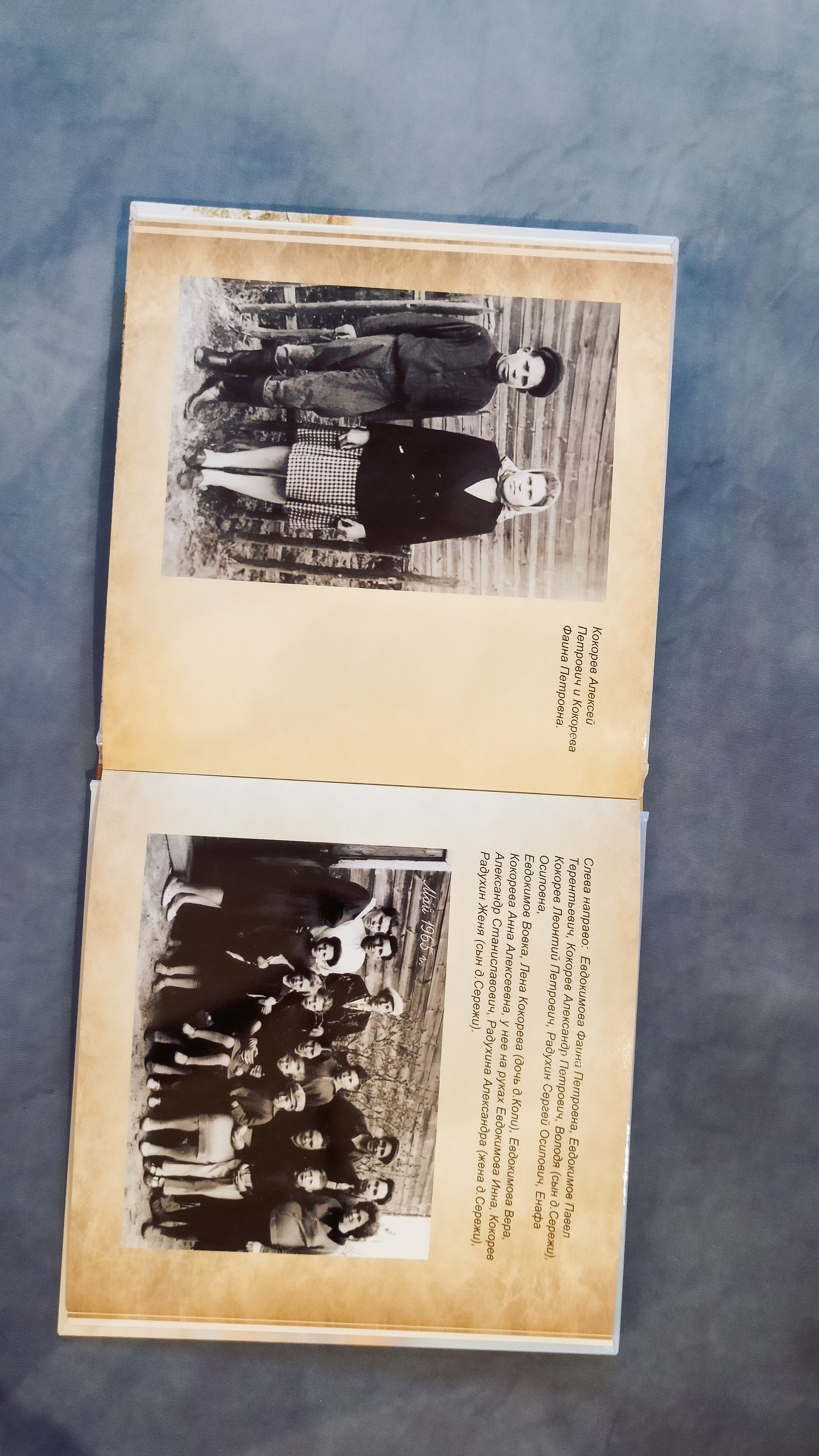 Моя родословная книга. Семейный и детский фотограф в Москве Тихонова Ксения