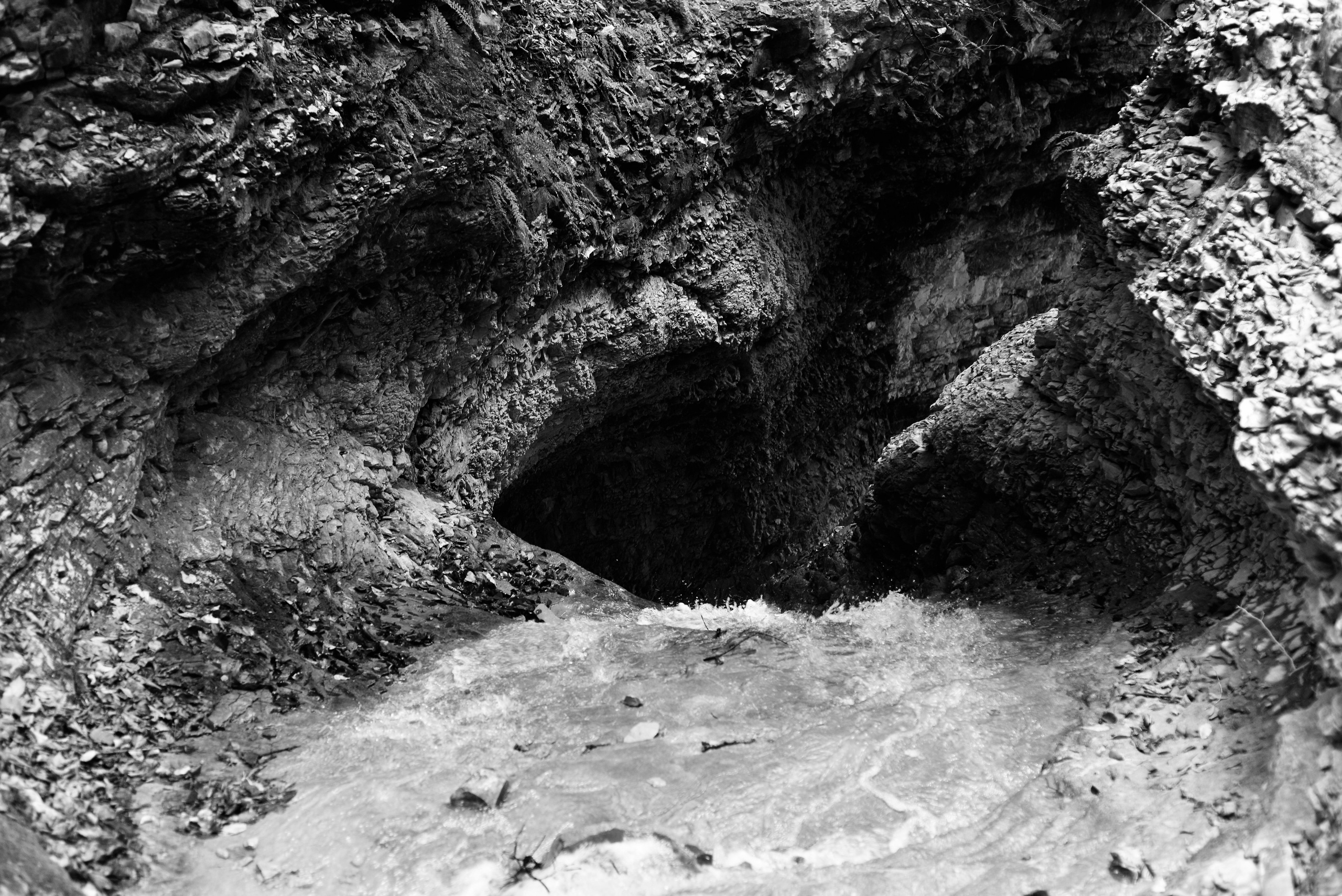 Затмение. Катерина Эделева