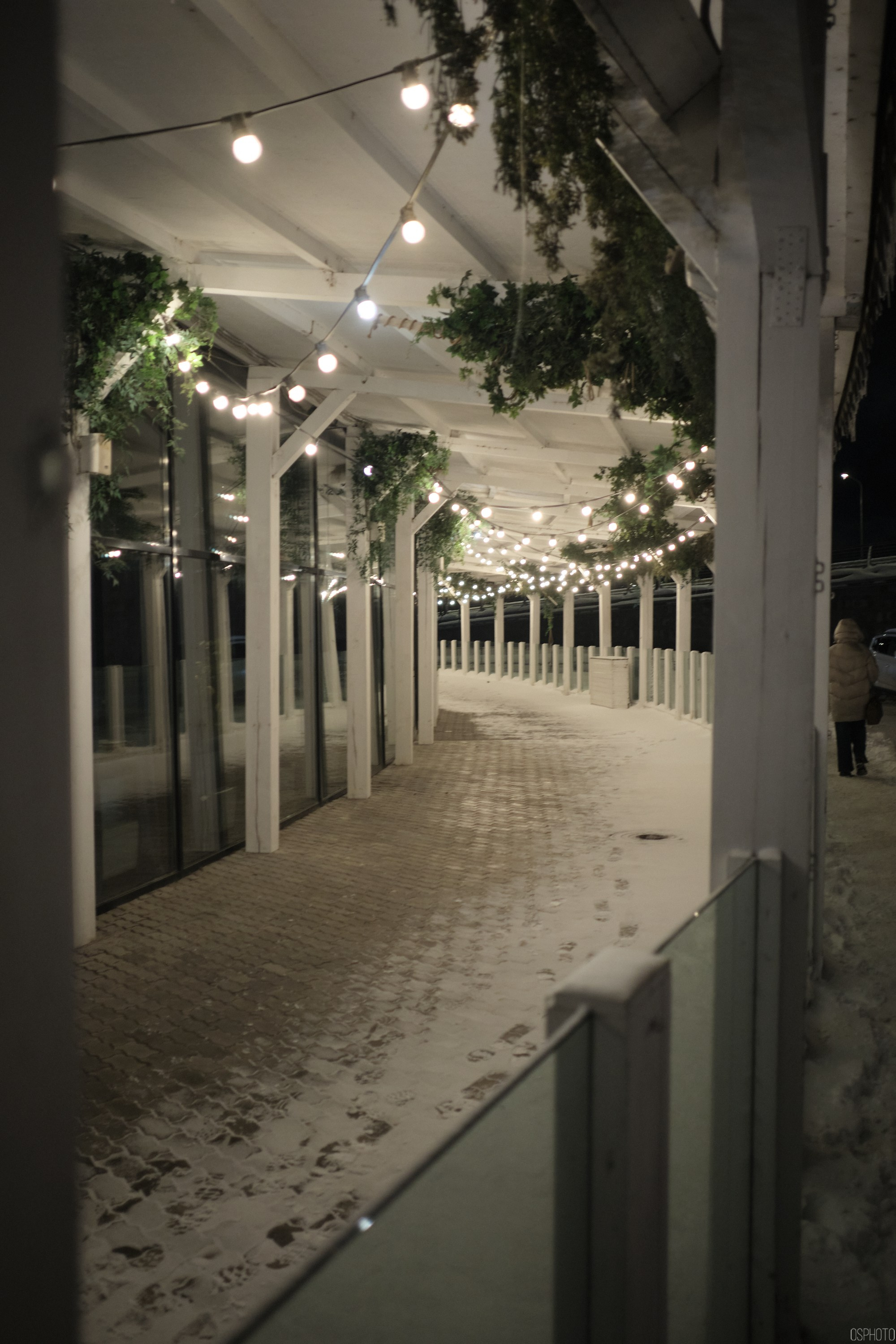 Снег и туман в Санкт-Петербурге. Фотографъ Сергѣевъ. Поймать мгновеніе