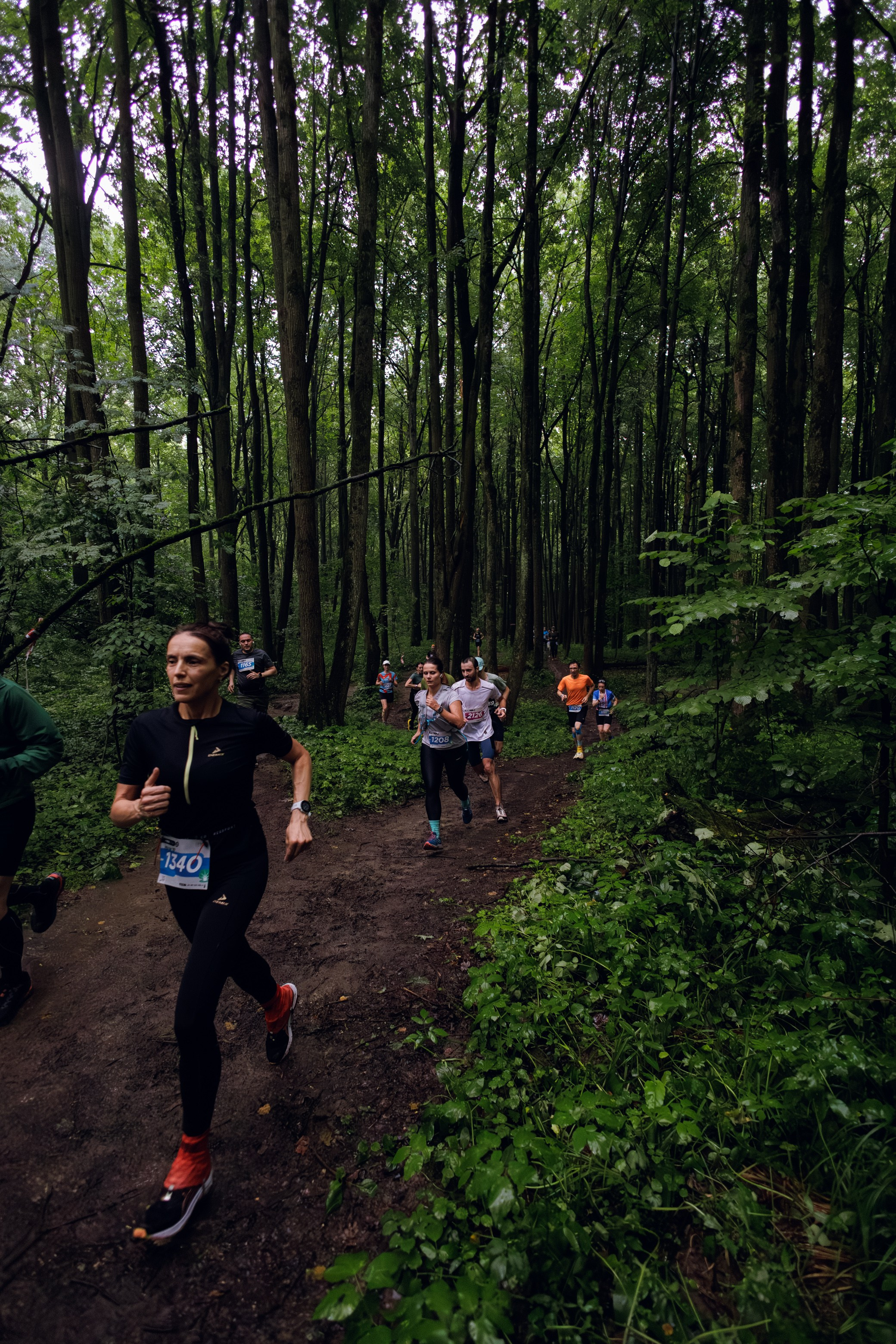 CityTrail Битца от Wild Trail