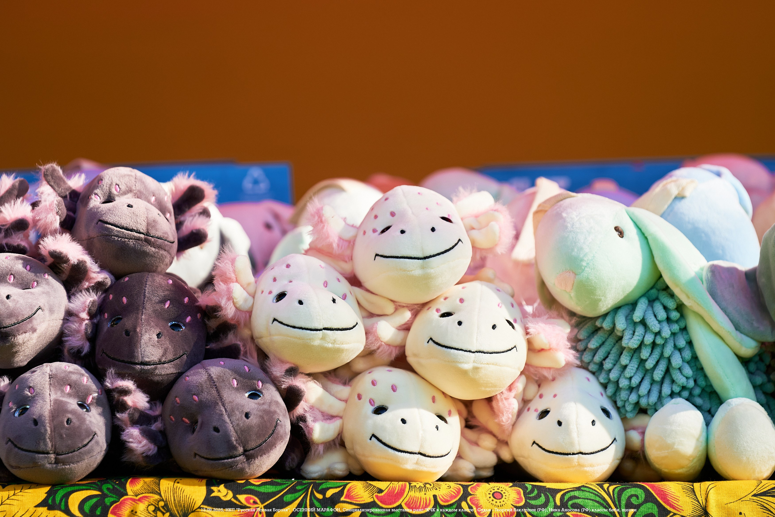 ОСЕННИЙ МАРАФОН | Специализированная выставка породы Русская Псовая Борзая ранг "КЧК в каждом классе"