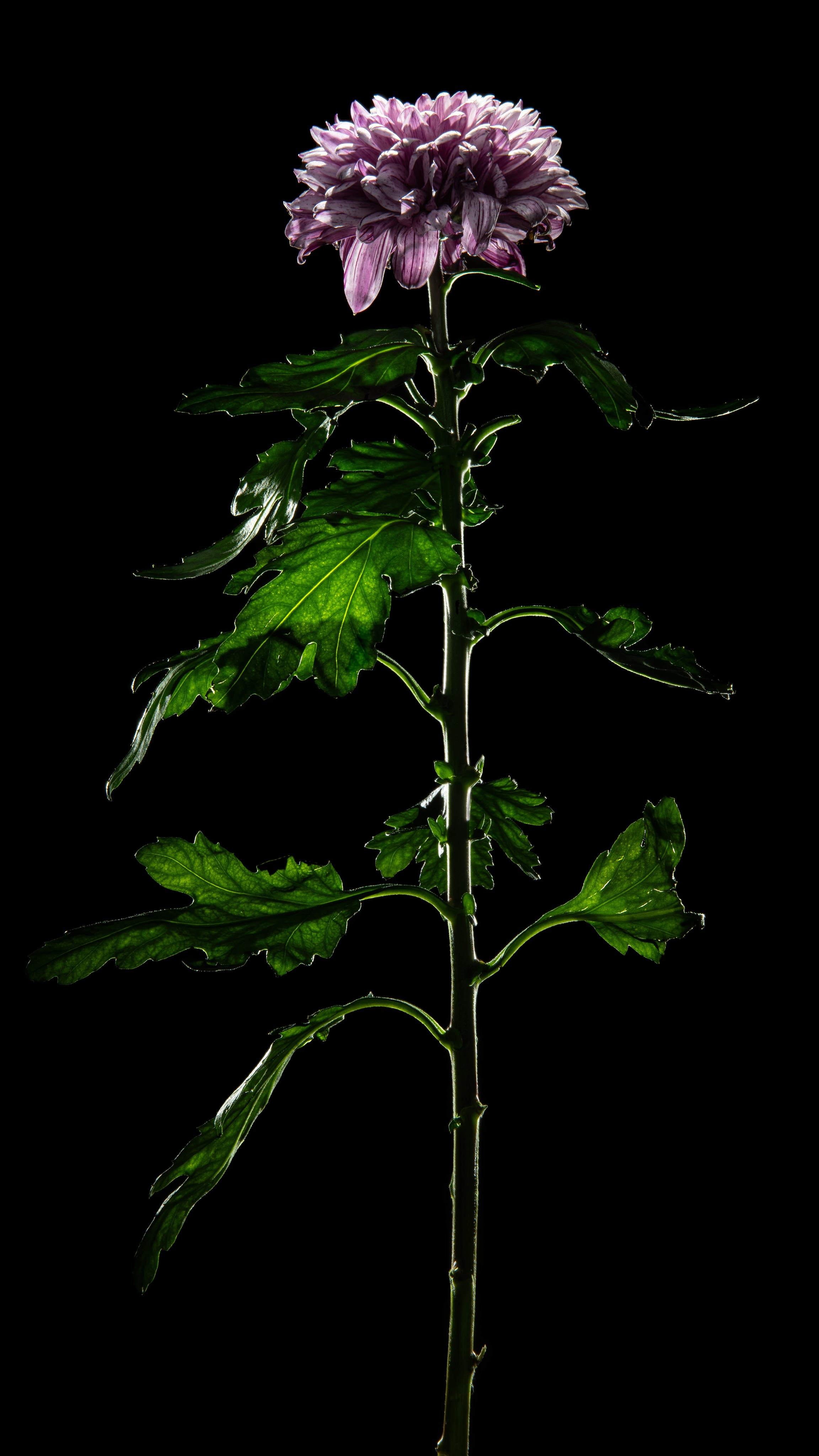 Проекты. Sakunov Photo