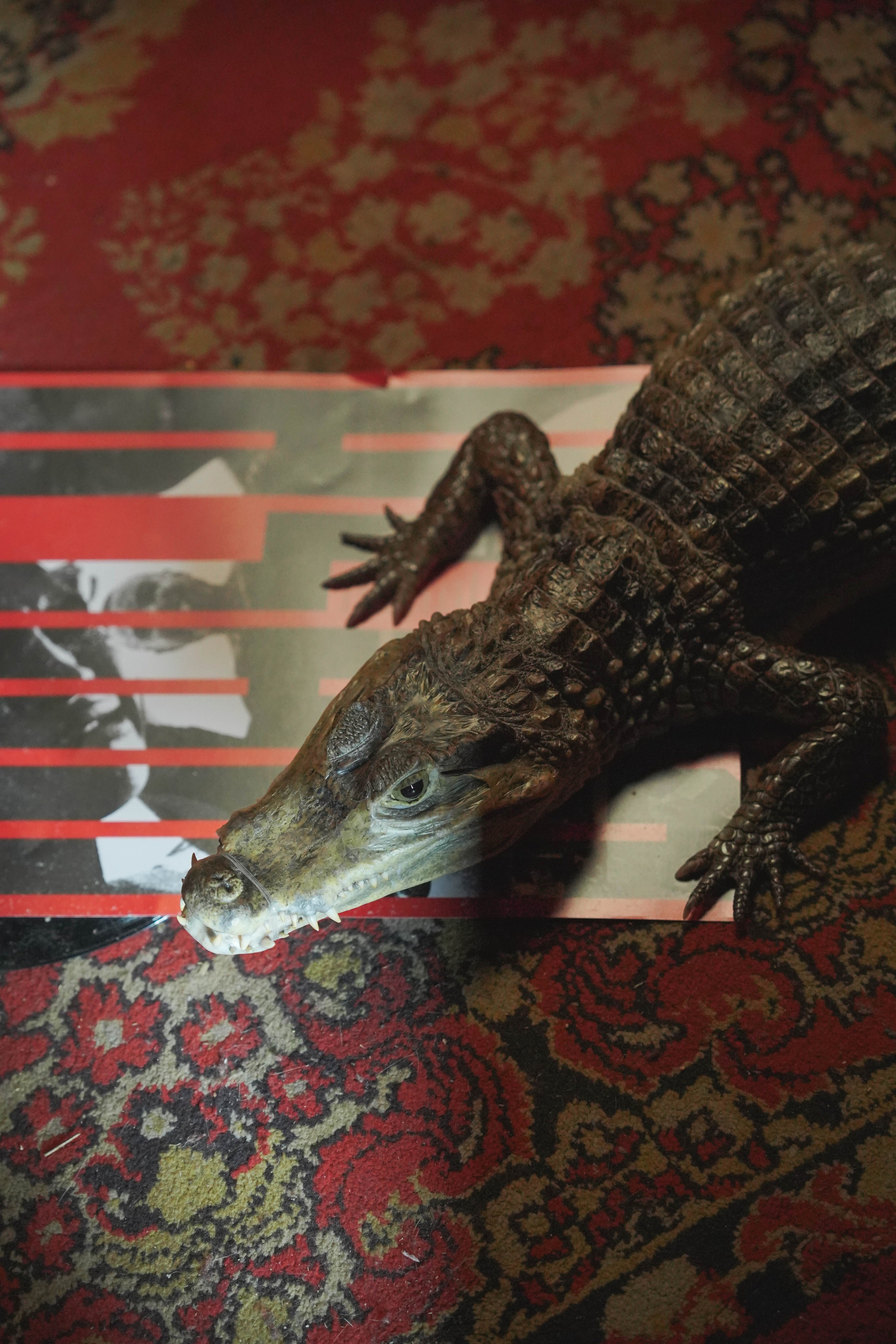 За кадром шоу «Подсечка». Beardy Pix