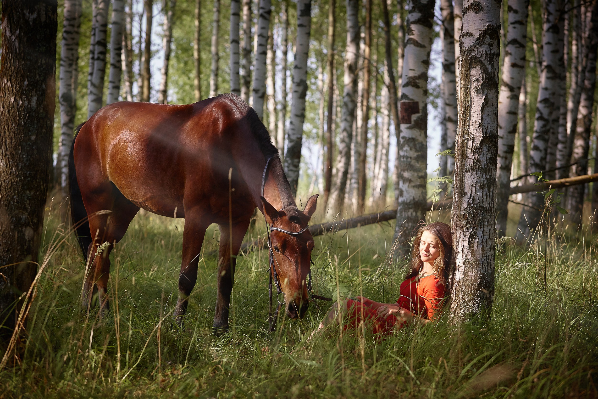 Фотосессия с лошадьми Фотограф Михаил Семенов, г. Ярославль