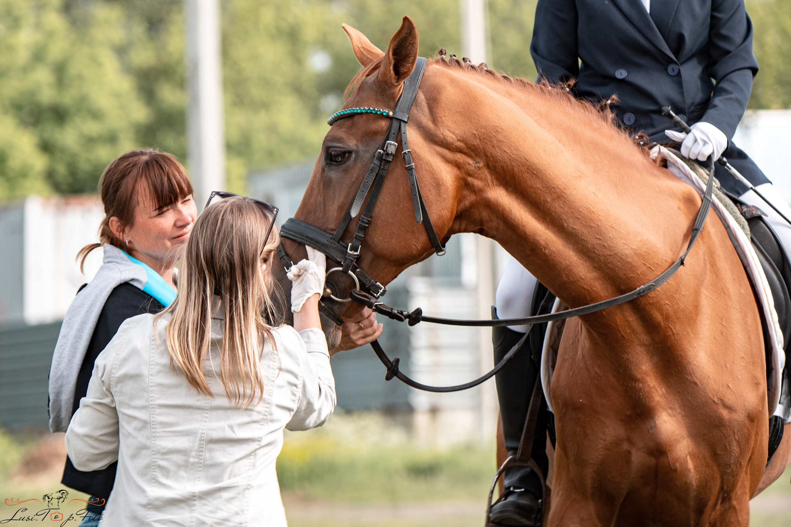 Областные соревнования по выездке. Тверь. Конный и фотограф с животными в Твери Топталова Люся