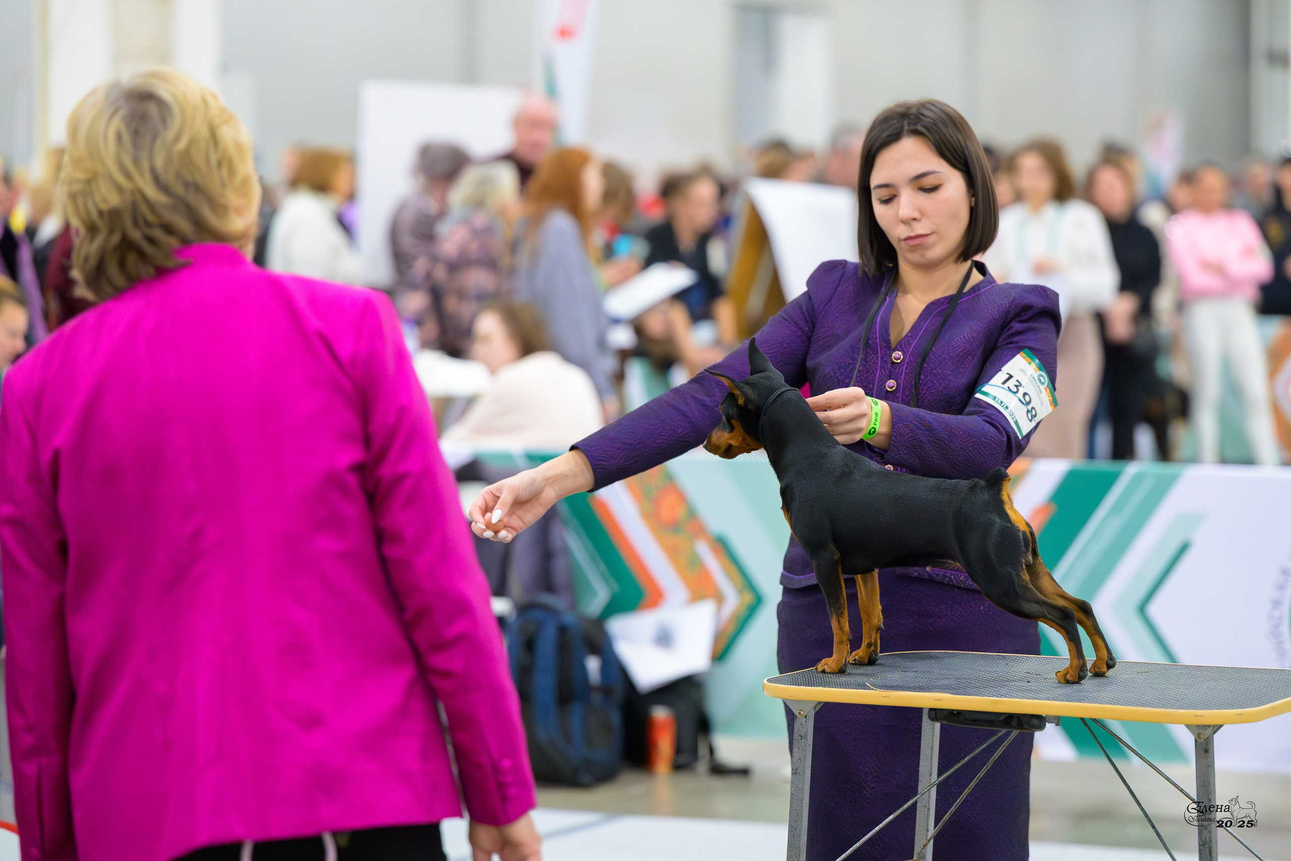 15-16.11.2025 ЕВРАЗИЯ г. Москва. Фотограф анималист Елена Галдина г. Красноярск