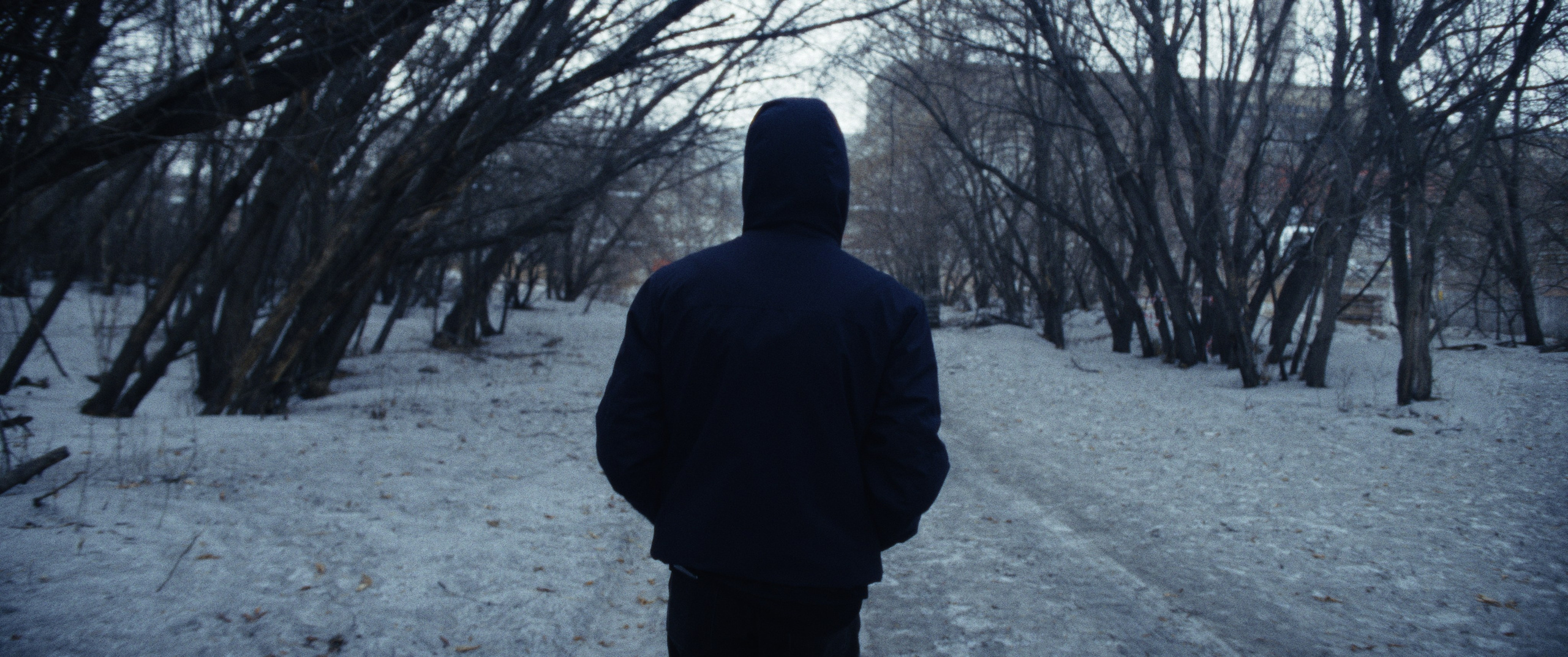 Гидра. Василий Буйлов|Vasilii Builov