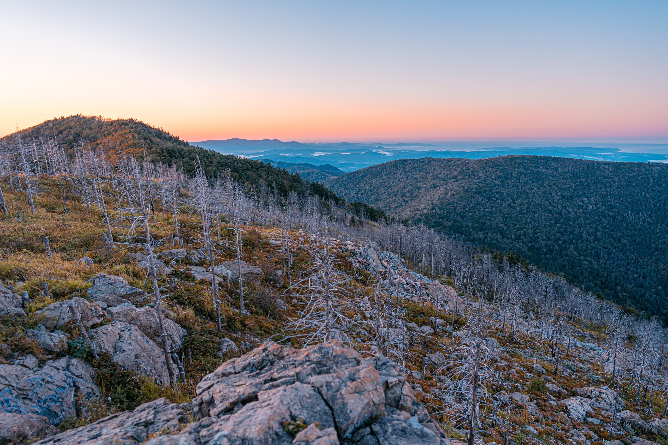 Гора Литовка (Фалаза). Иван Зайцев (IZIART) — создание культурного кода через фото и видео