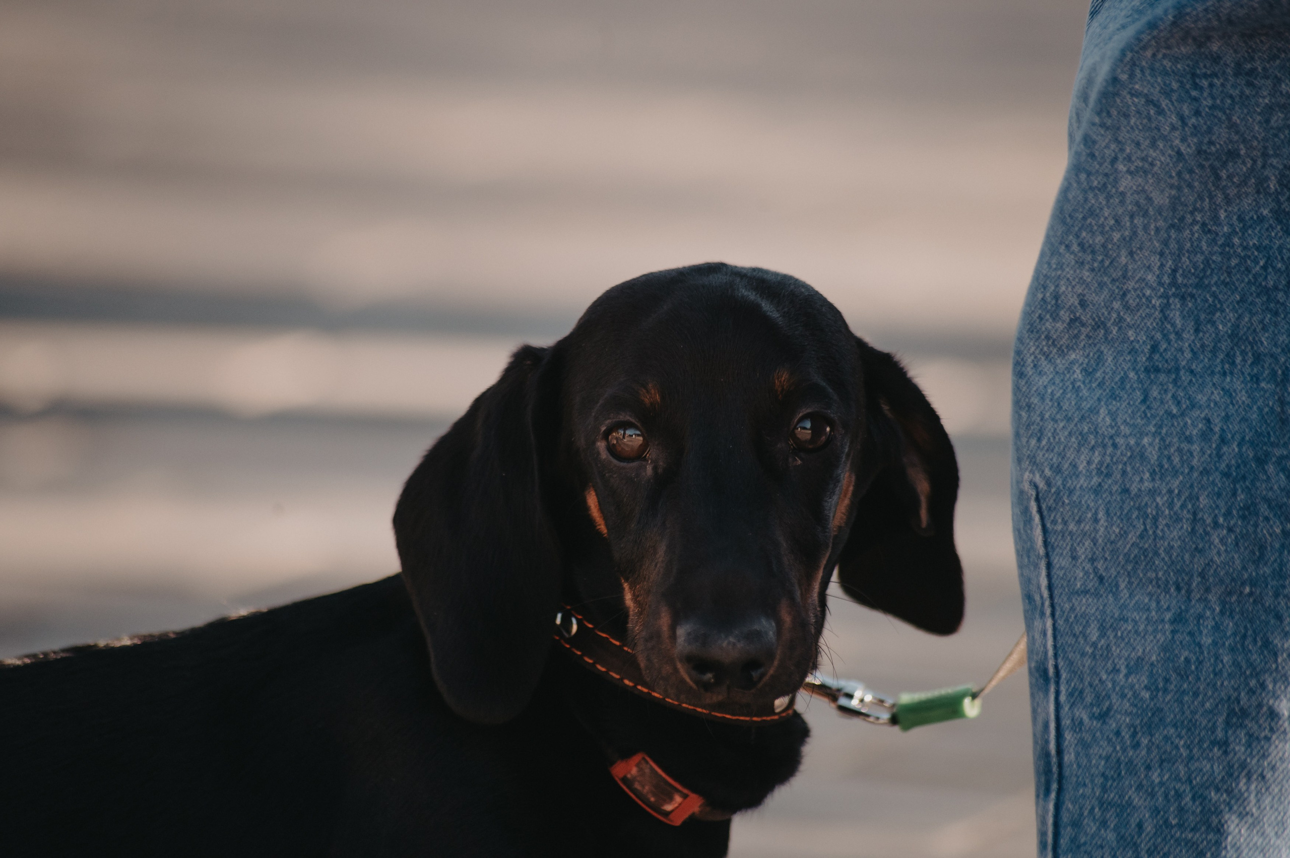 DJ БАТЛ | День молодёжи 2024 | фестиваль «КАРДО». Контент фотограф Илья Урс