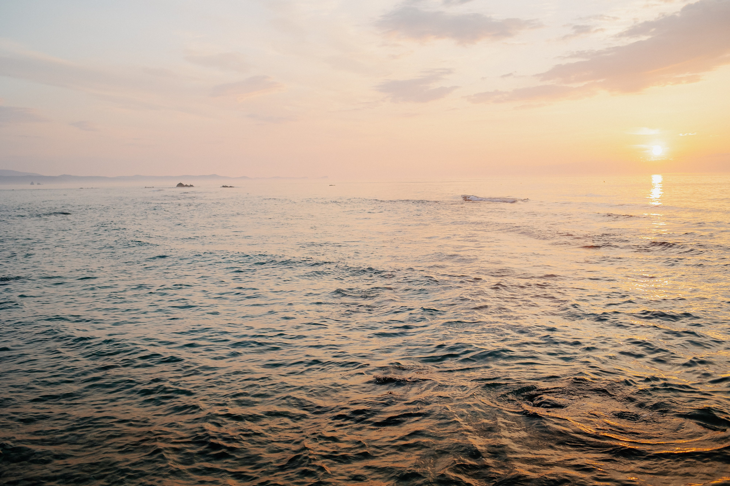 Пока не застроили. Evgeniya Kokurina