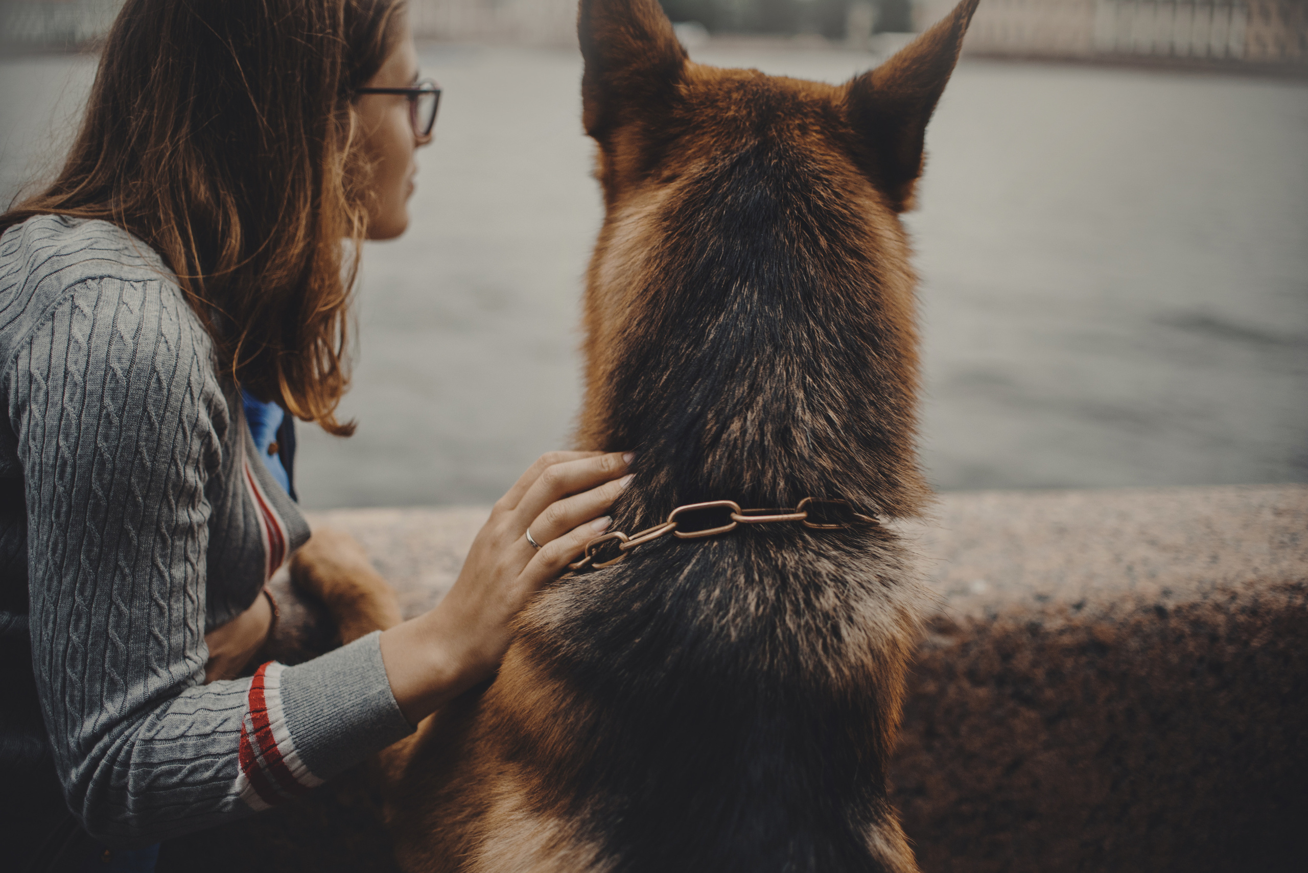 Дрессировка собак. Фотограф-анималист Наталия Чистюхина в г. Сосновый Бор и ЛО