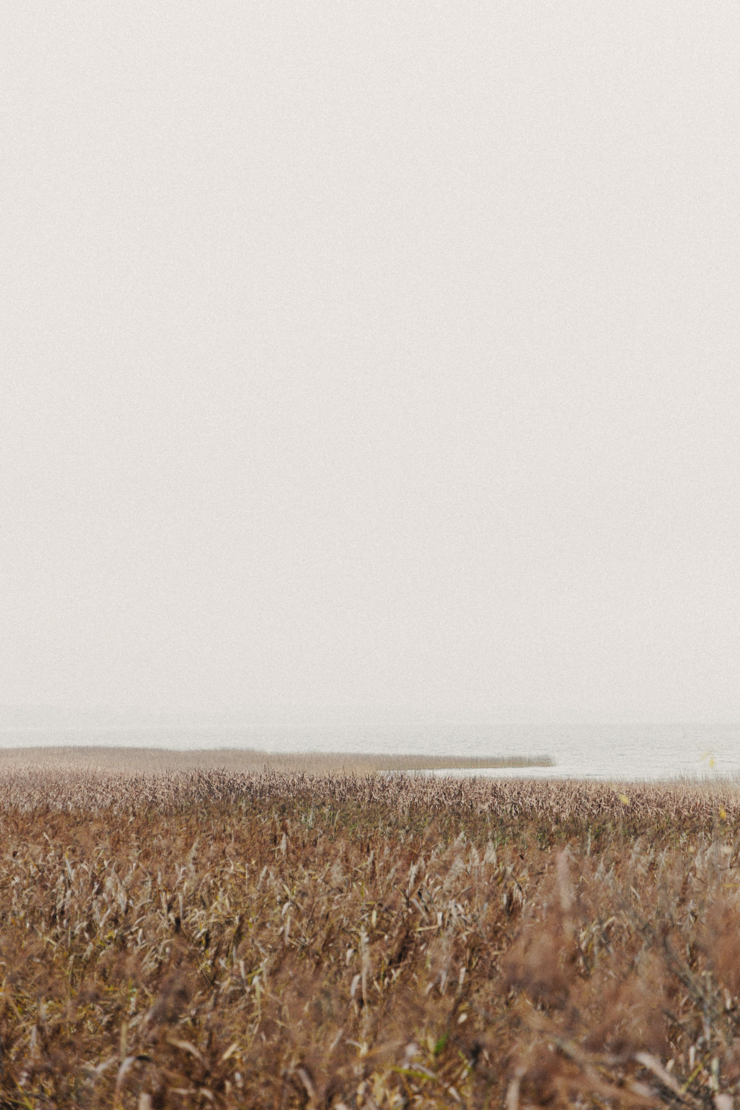 О том, как мы исследовали земли Залесские. Главная