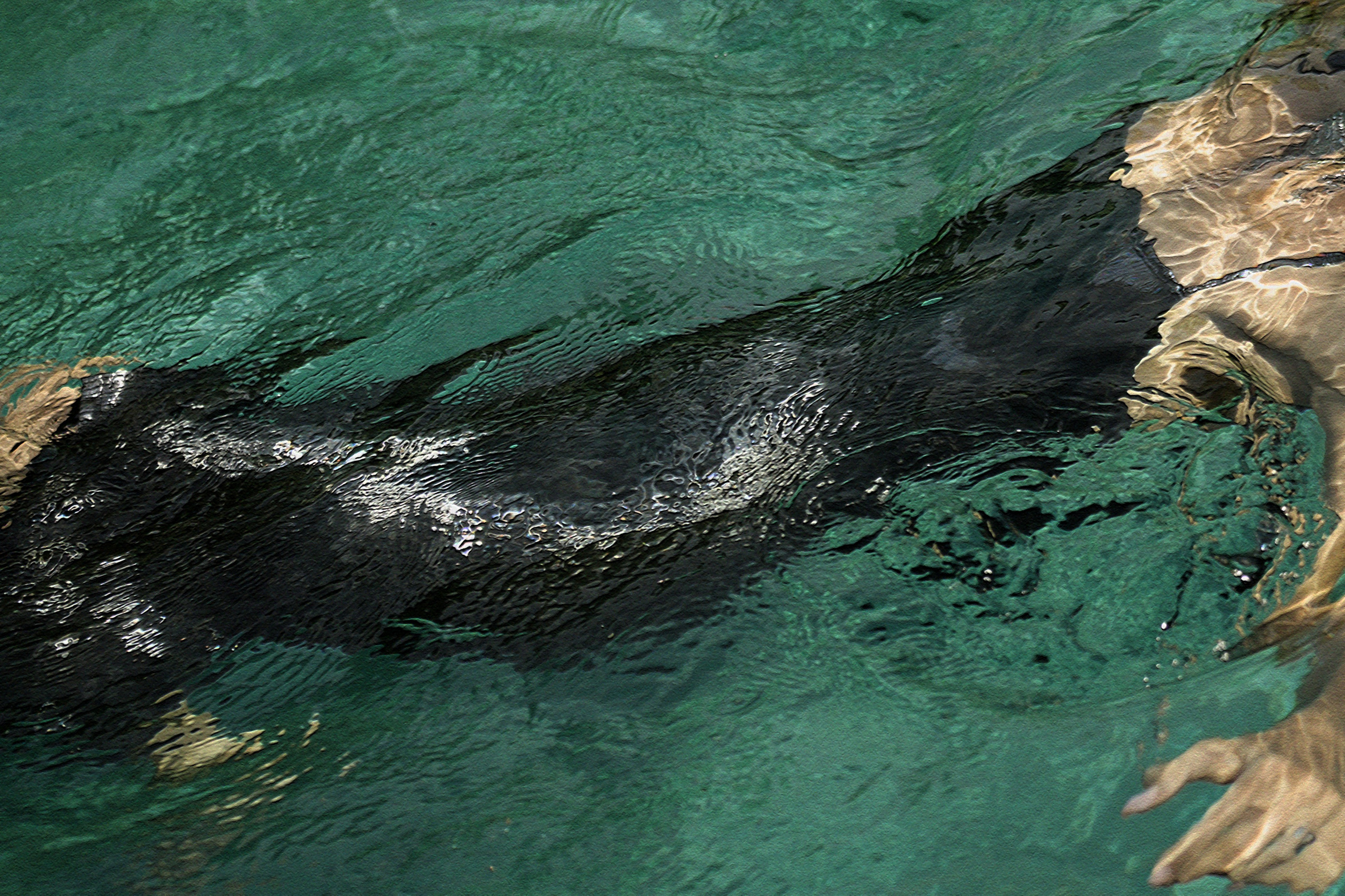 ГЛАВНАЯ. TAMARA BAZHMINA