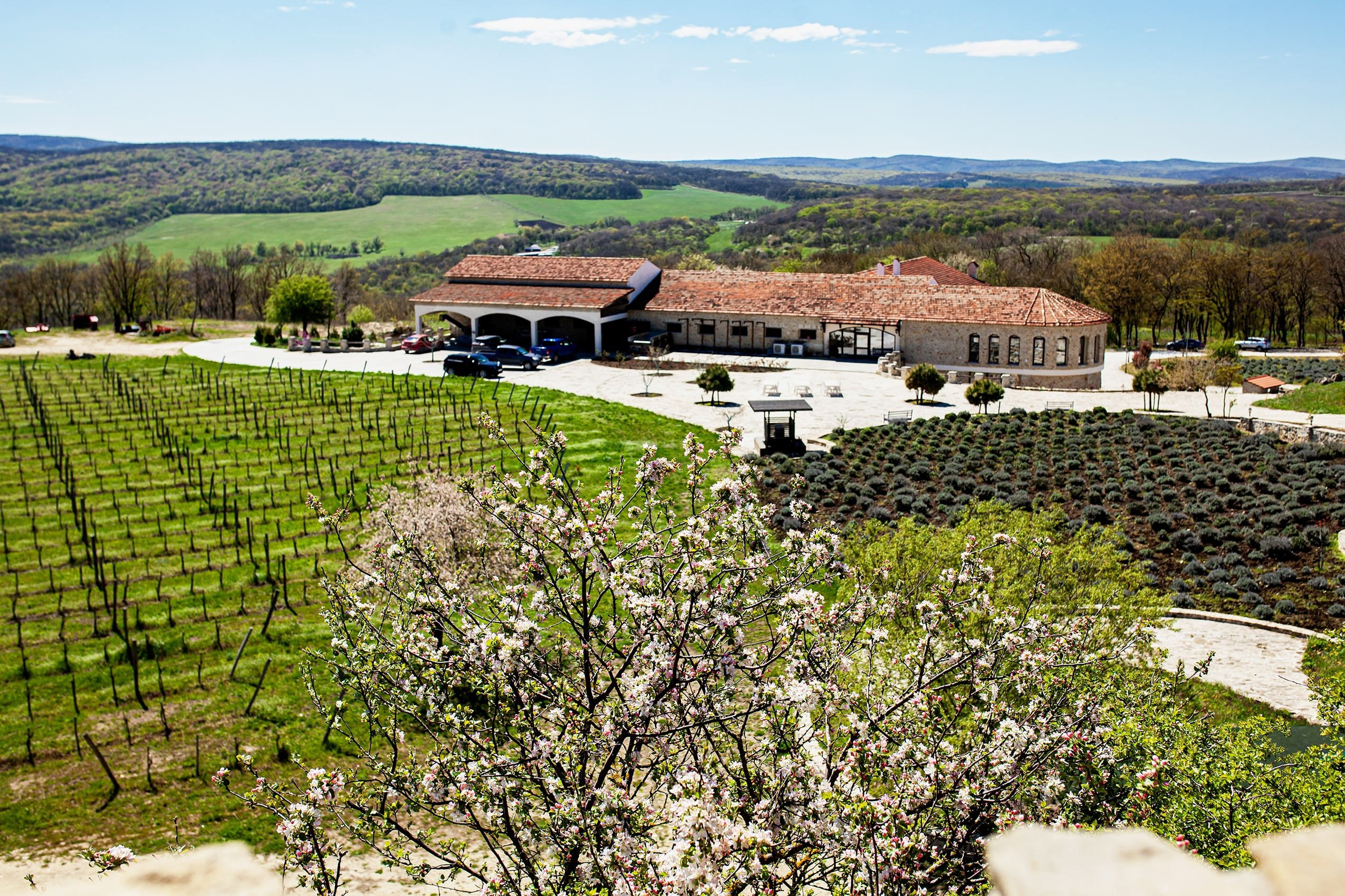 Локации для фотосессии в Анапе