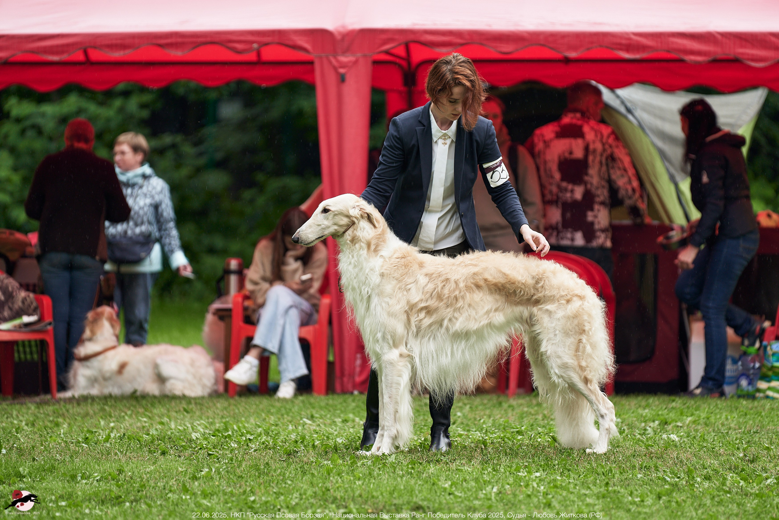 22.06.2025 | Национальная Выставка НКП "Русская Псовая Борзая"