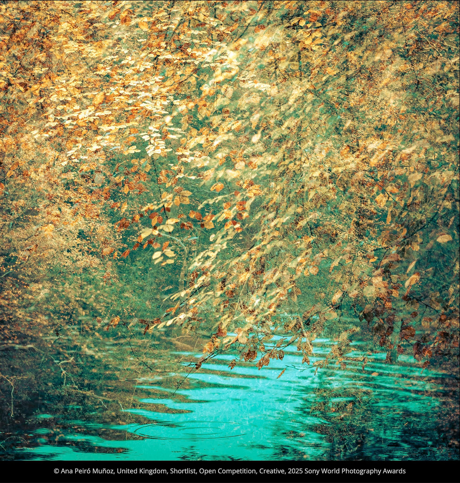 Победители и проигравшие фотоконкурса Sony World Photography Awards 2025. Фотограф Михаил Мордасов, Сочи. Мероприятия, портреты, спорт, репортаж