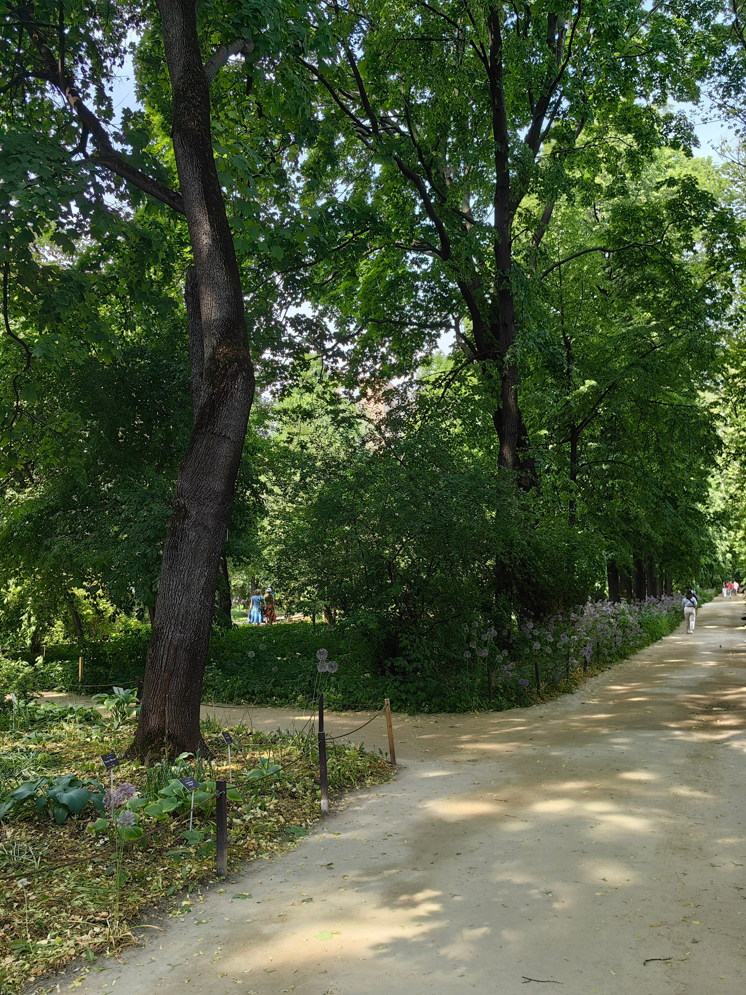Парк АПТЕКАРСКИЙ ОГОРОД обзор. Фотограф в Москве и Московской области (Ю-В) Олеся Макарова