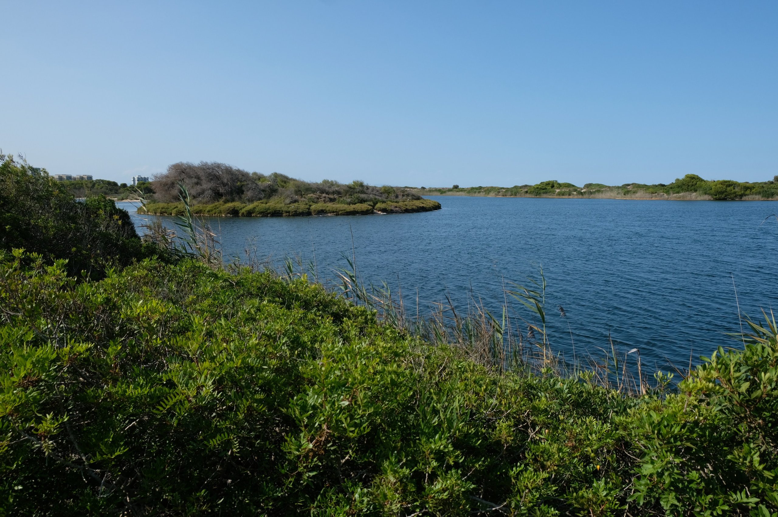 Парк Альбуфера в Валенсии (Испания). Гид и фотограф в Валенсии Новиков Михаил