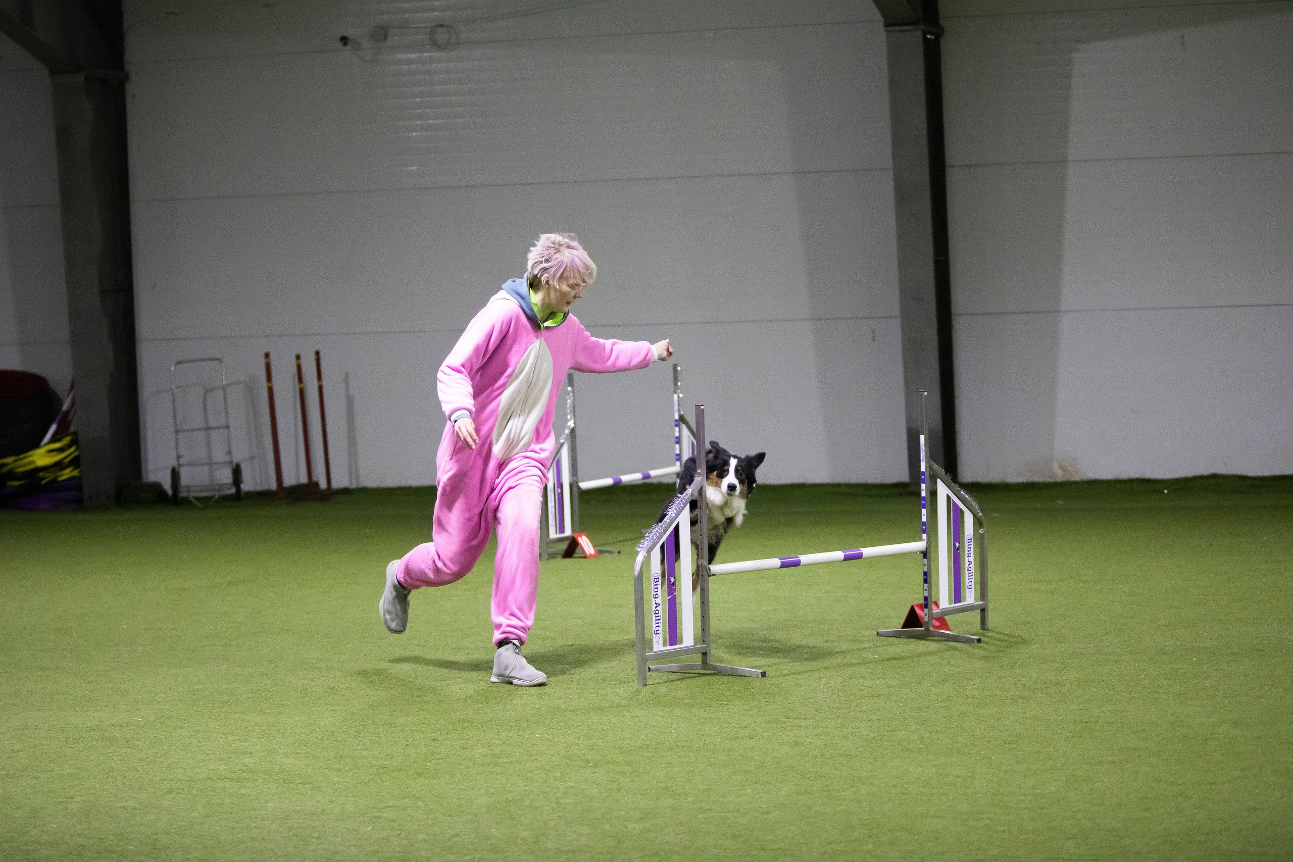 Нами. BLGKV питомник собак