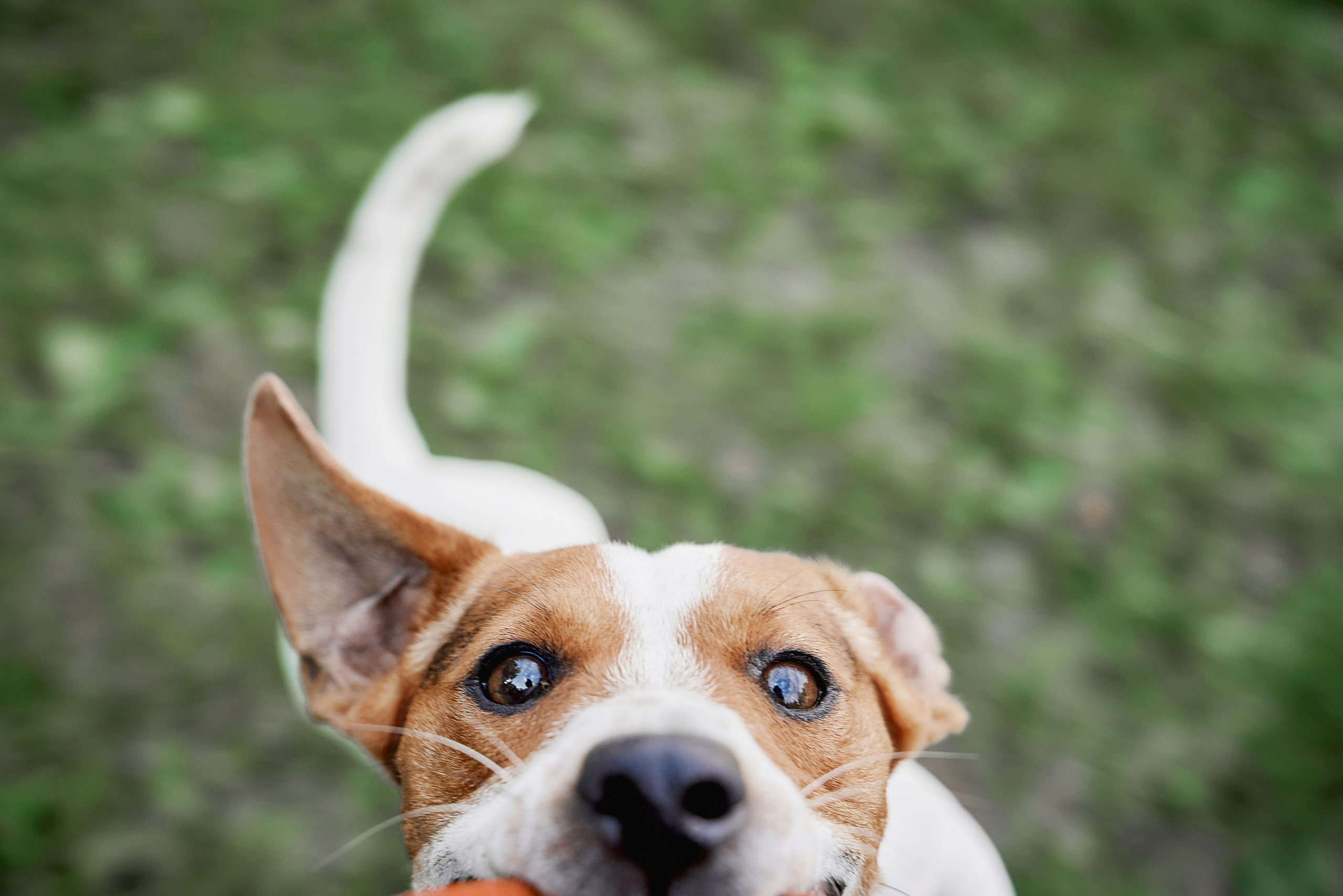 Свадебная фотосессия Насти и Павла в Москве. Фотограф Евгений Опарин