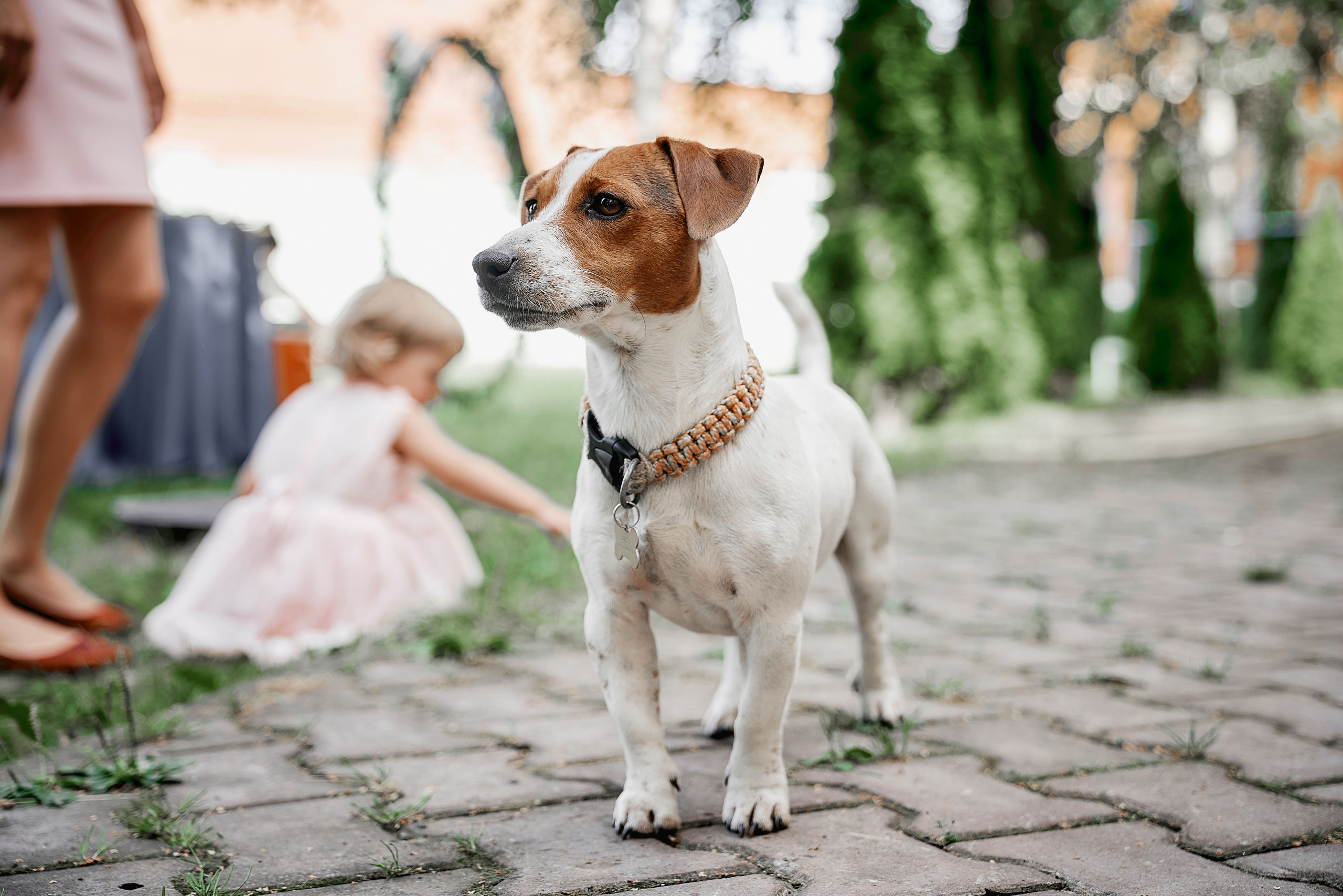 Свадебная фотосессия Насти и Павла в Москве. Фотограф Евгений Опарин
