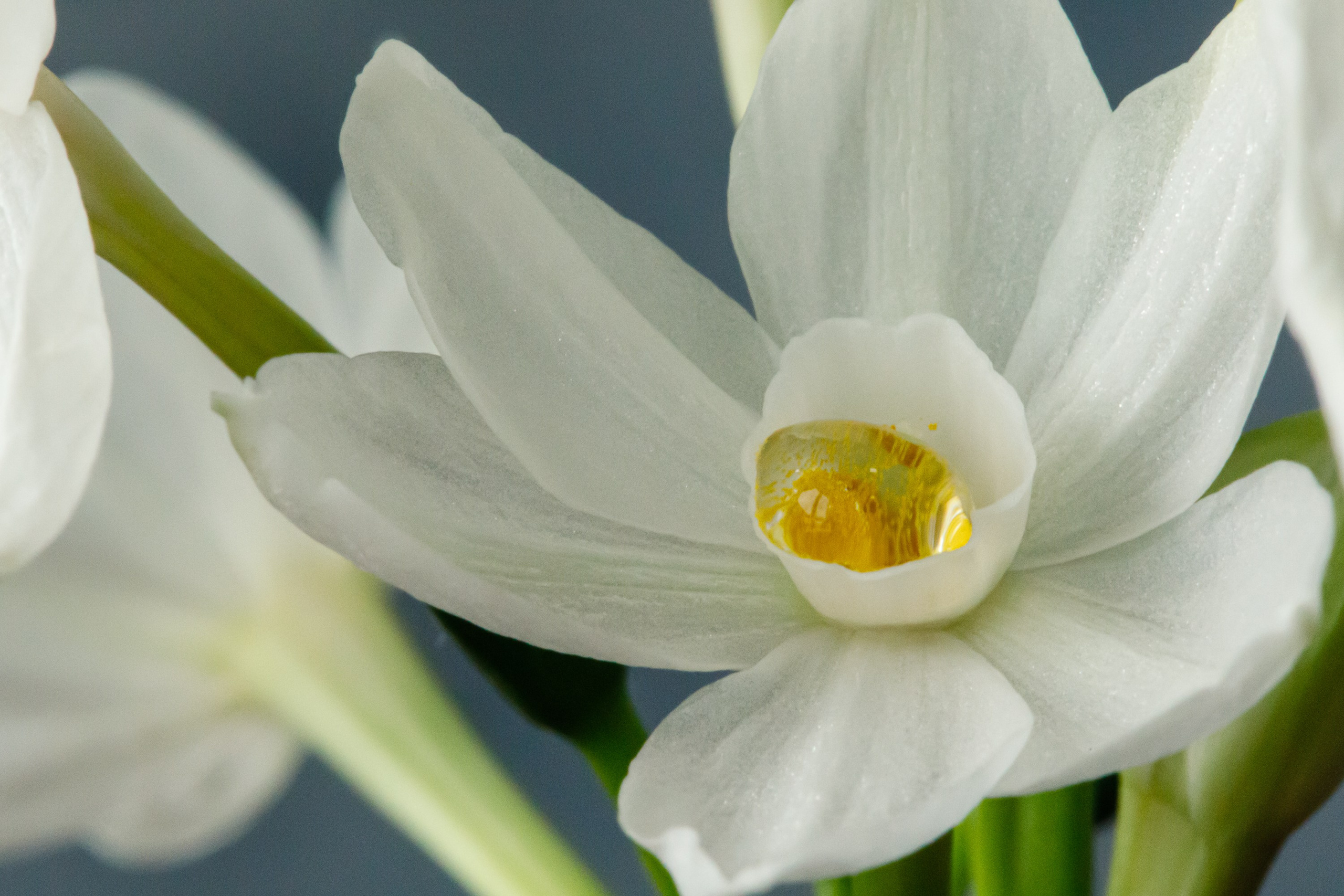 Подберу кадр под ваш интерьер и настроение. Фотограф Кирилл Мешков Кемерово