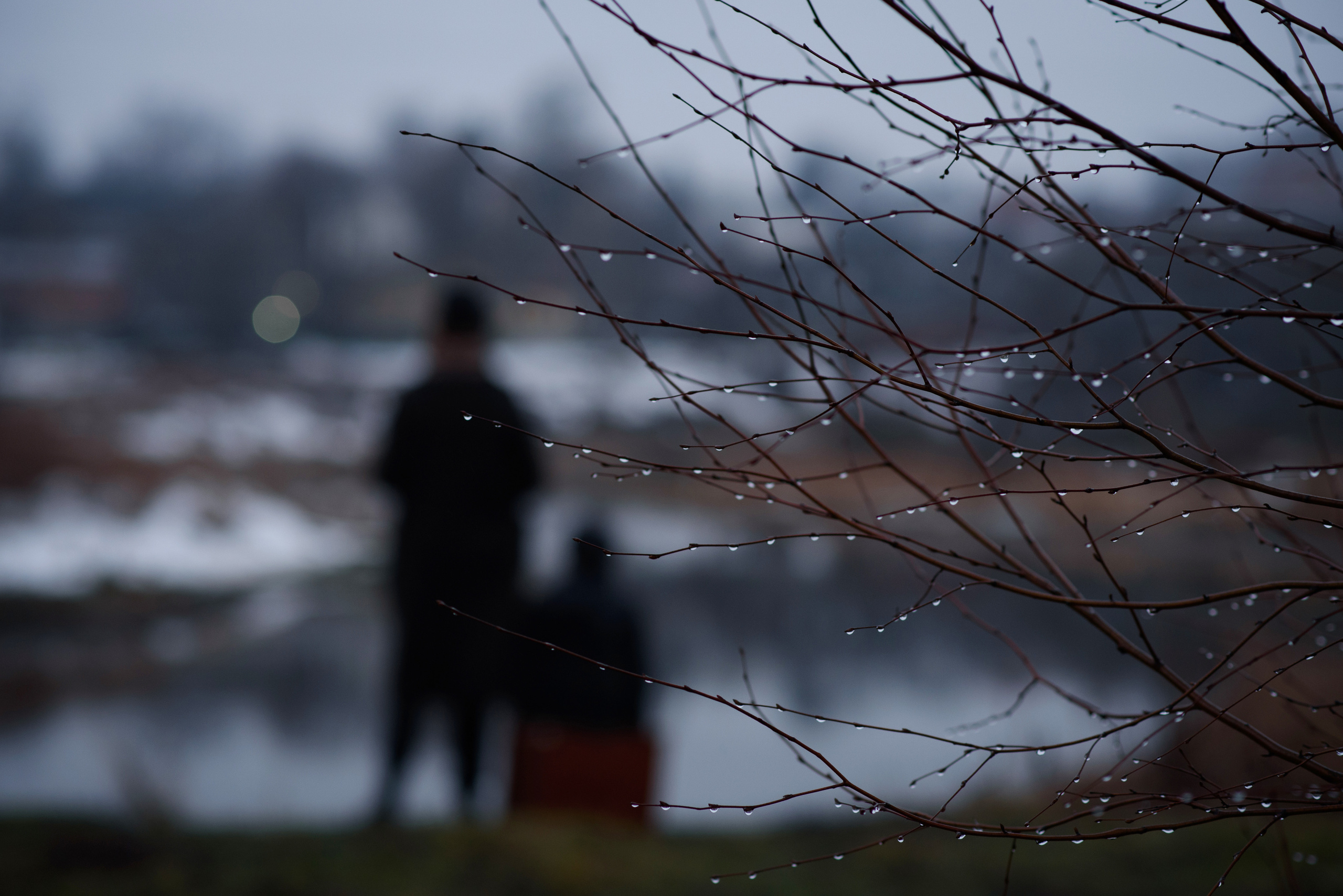 Ранняя весна — время делать красивые фотографии. Анна Боровикова, фотограф Пушкино