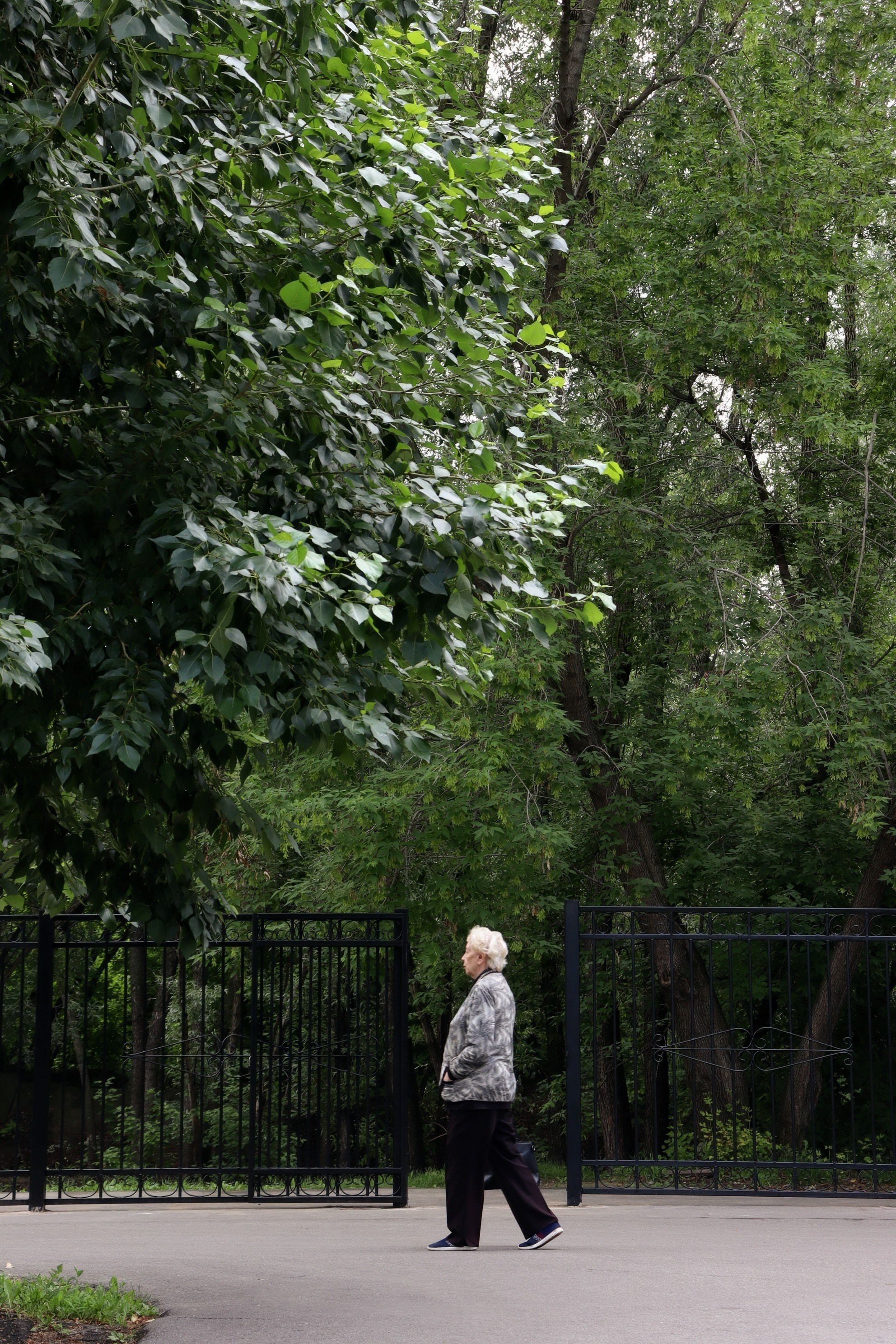 Локации для фотосъёмок в Барнауле: парки, набережные, дворики — выбирайте место