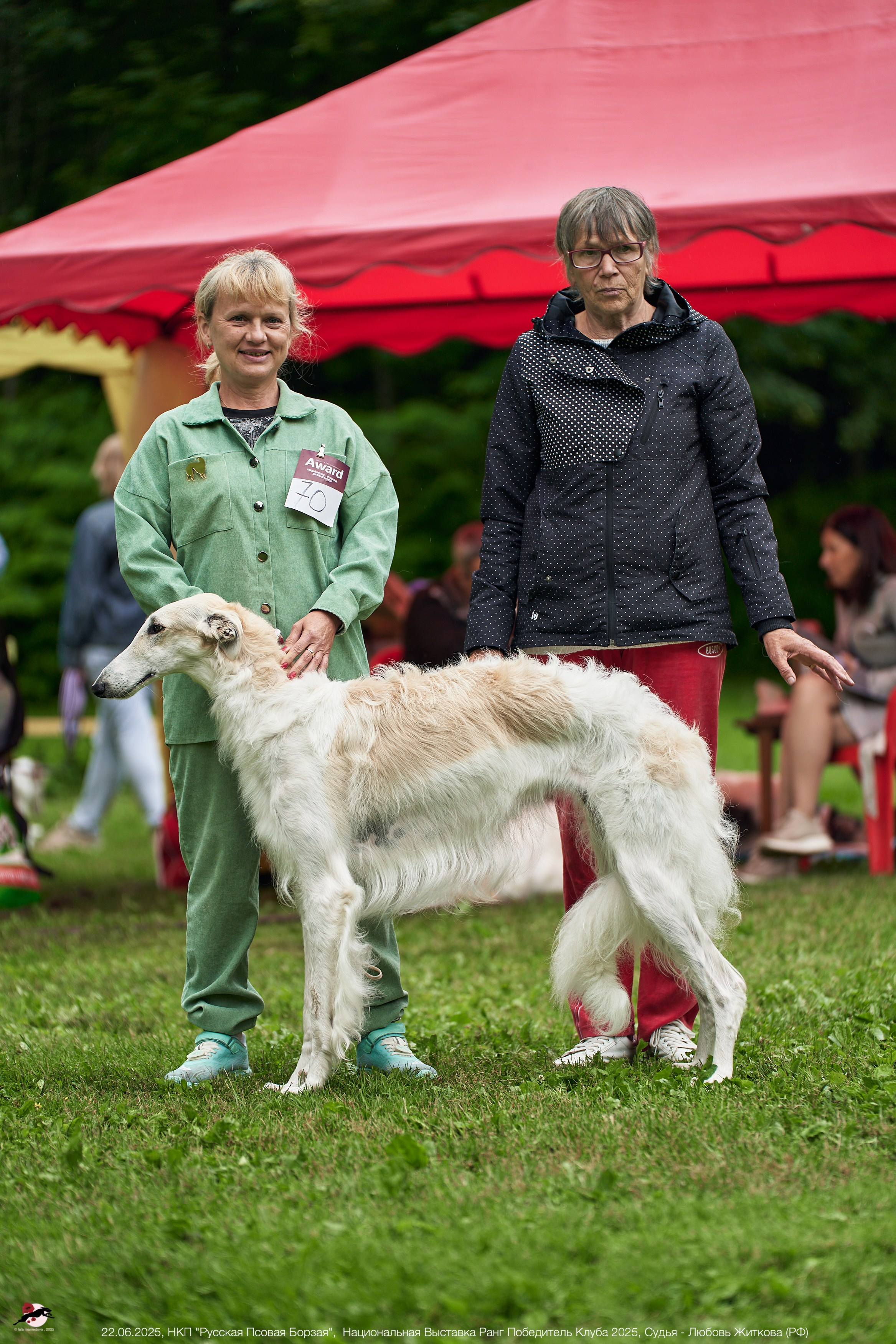 22.06.2025 | Национальная Выставка НКП "Русская Псовая Борзая"