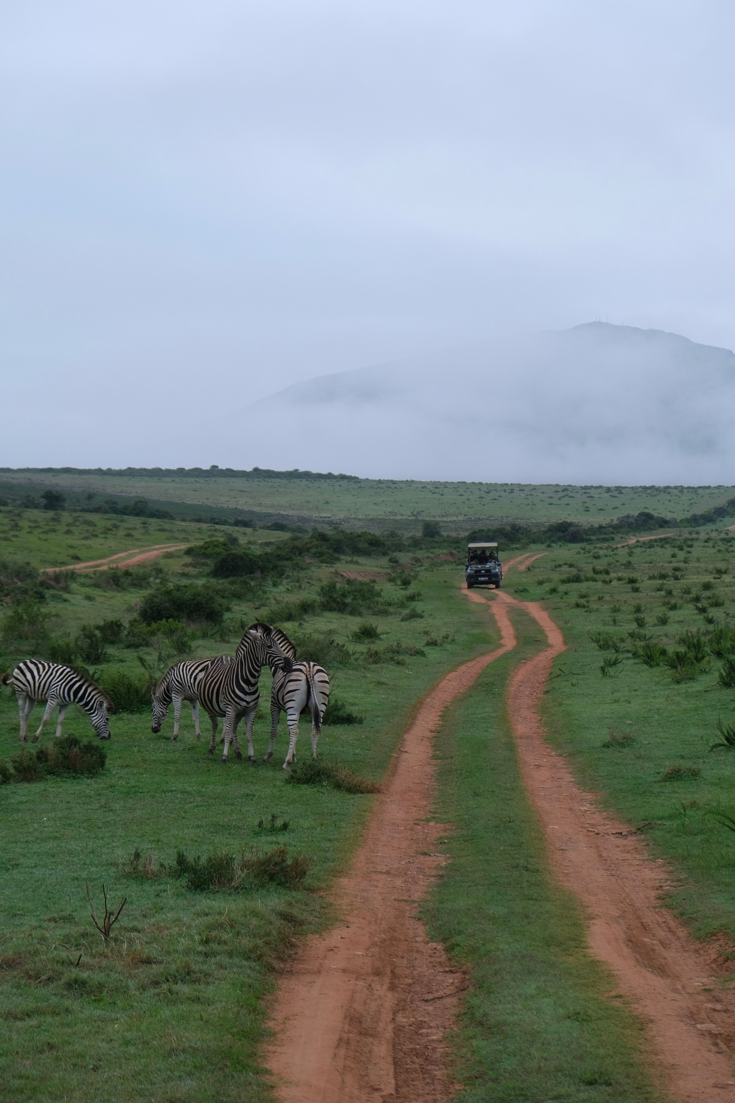 Nataresso | фотограф Москва