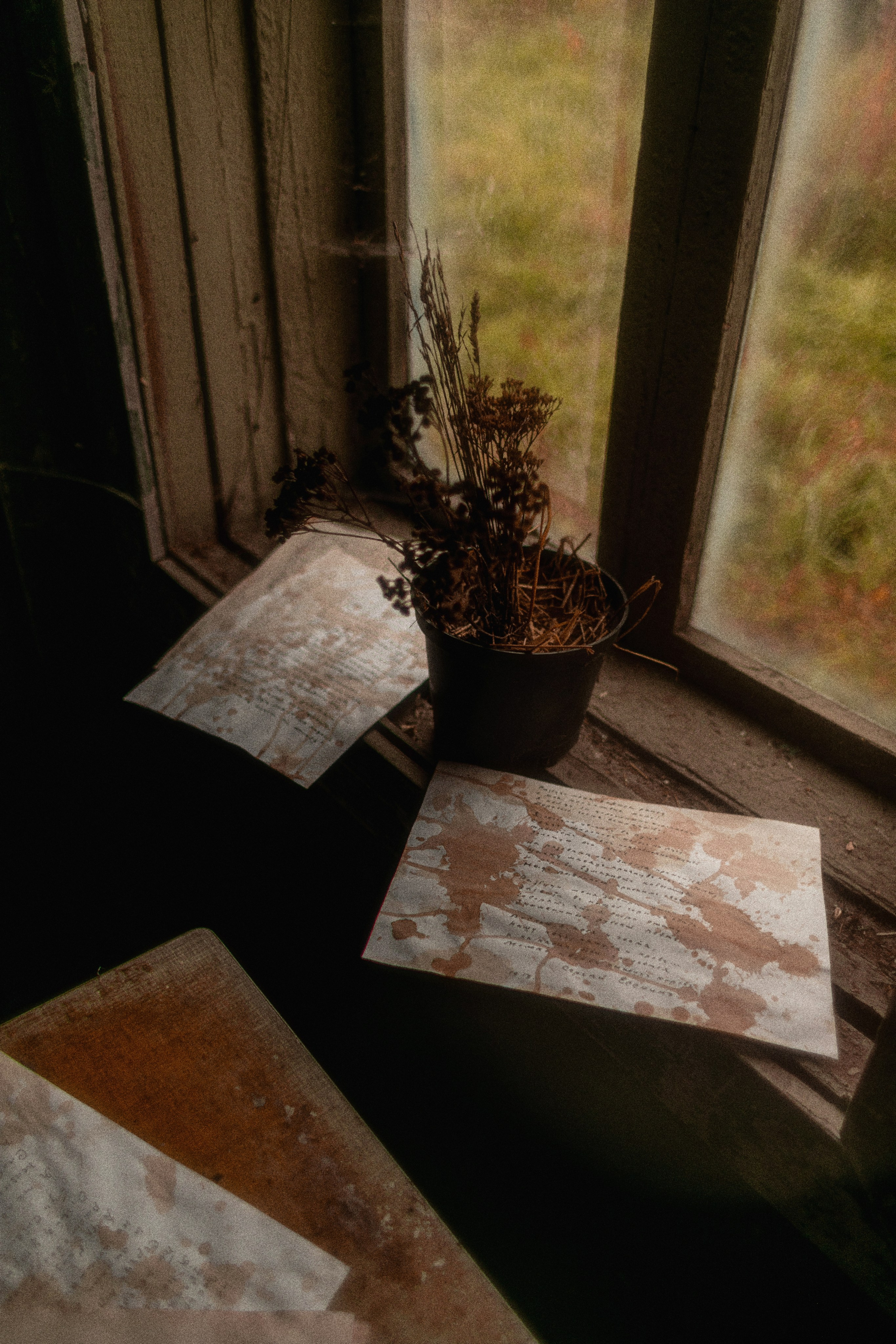 Душа поэта. Фотограф детей и подростков в Москве Таня Королева