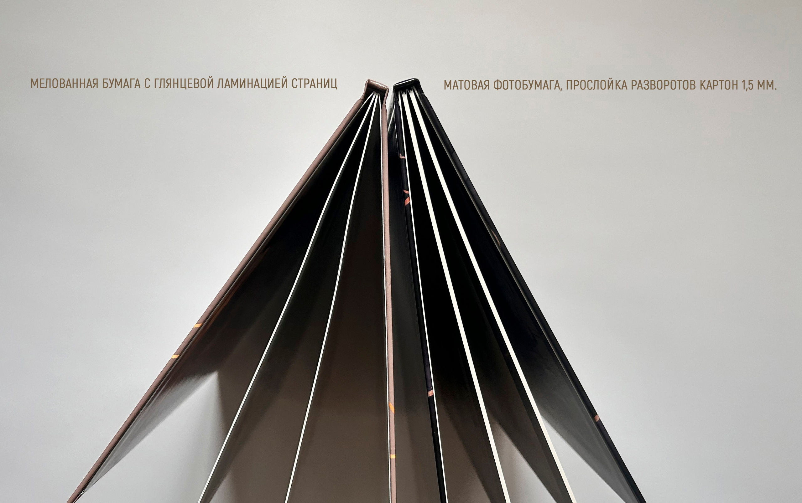 МАТЕМАТИКА. Школьный и свадебный фотограф Анастасия Соколовская, Тайшет