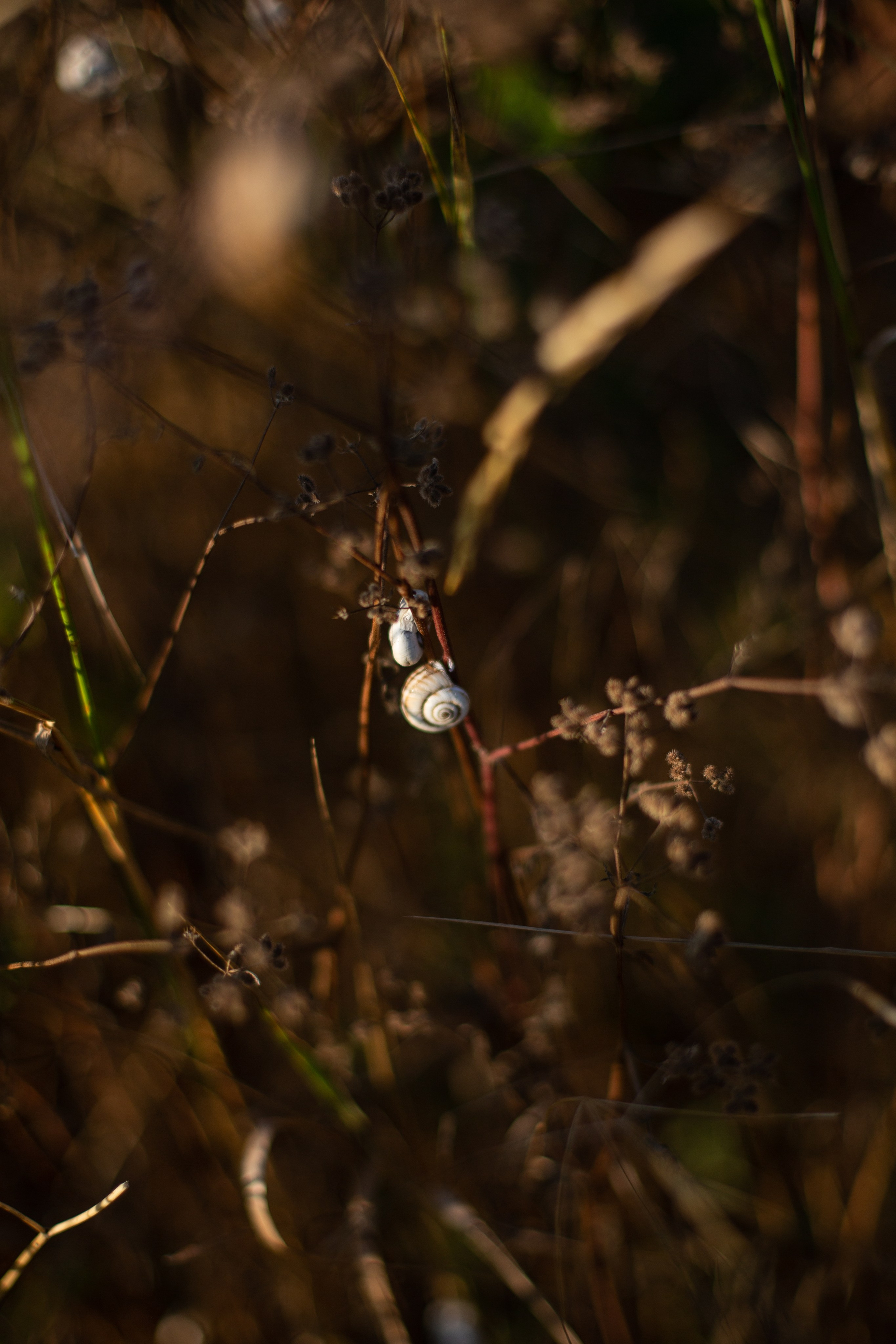 Дороги земли ветров. Портретный фотограф в Москве и Геленджике Кирилл Вахитов